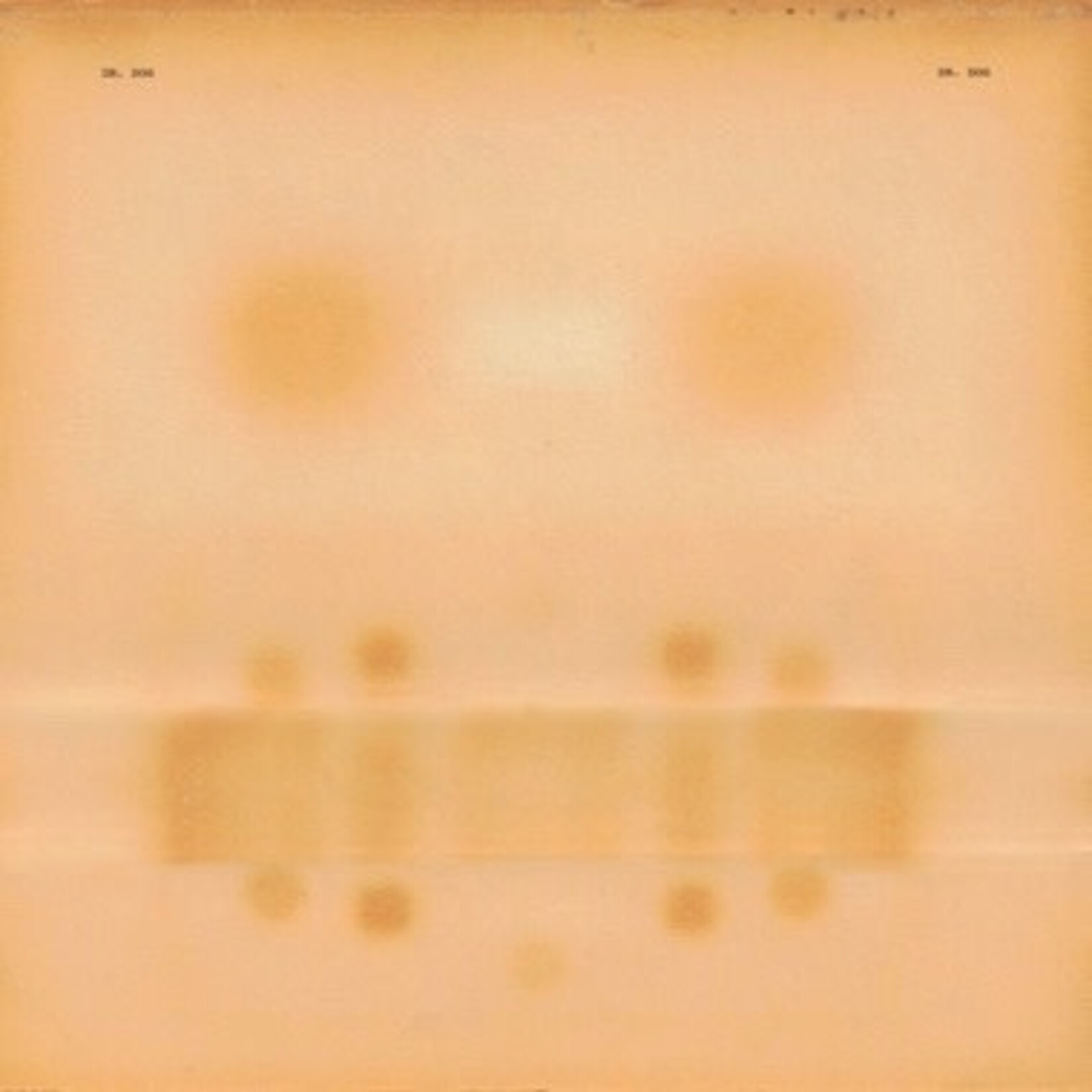 Dr Dog - Dr Dog (LP)