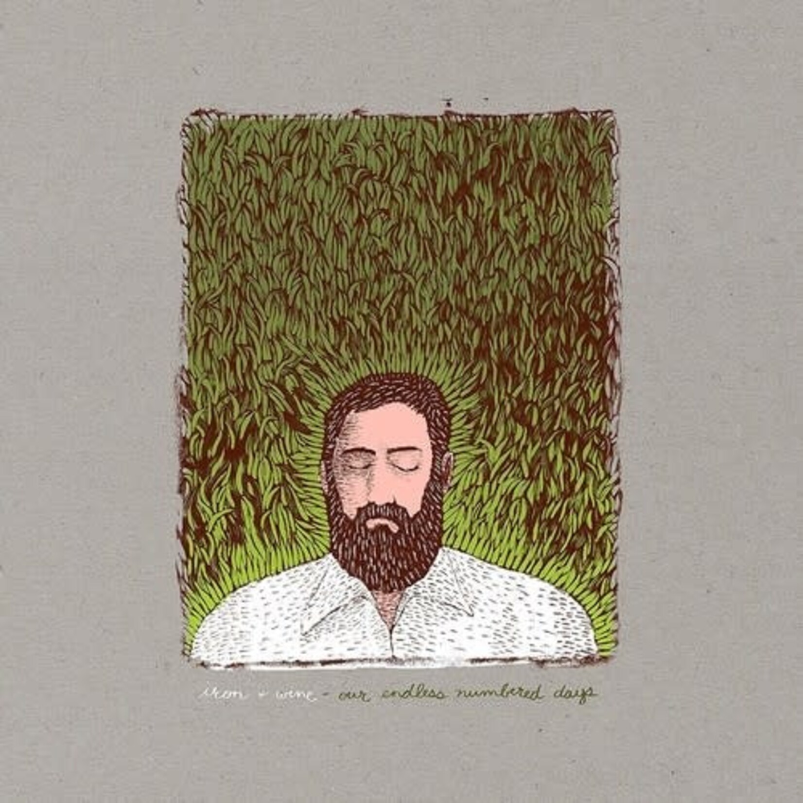 Sub Pop Iron & Wine - Our Endless Numbered Days (2LP) [Deluxe]