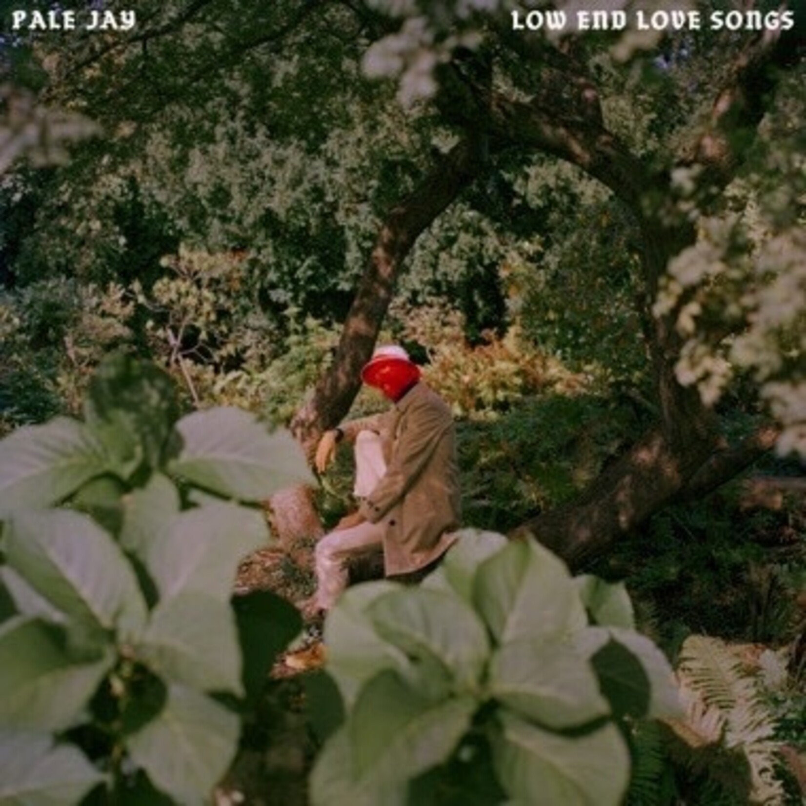 Colemine Pale Jay - Low End Love Songs (LP) [Storm Cloud Grey]