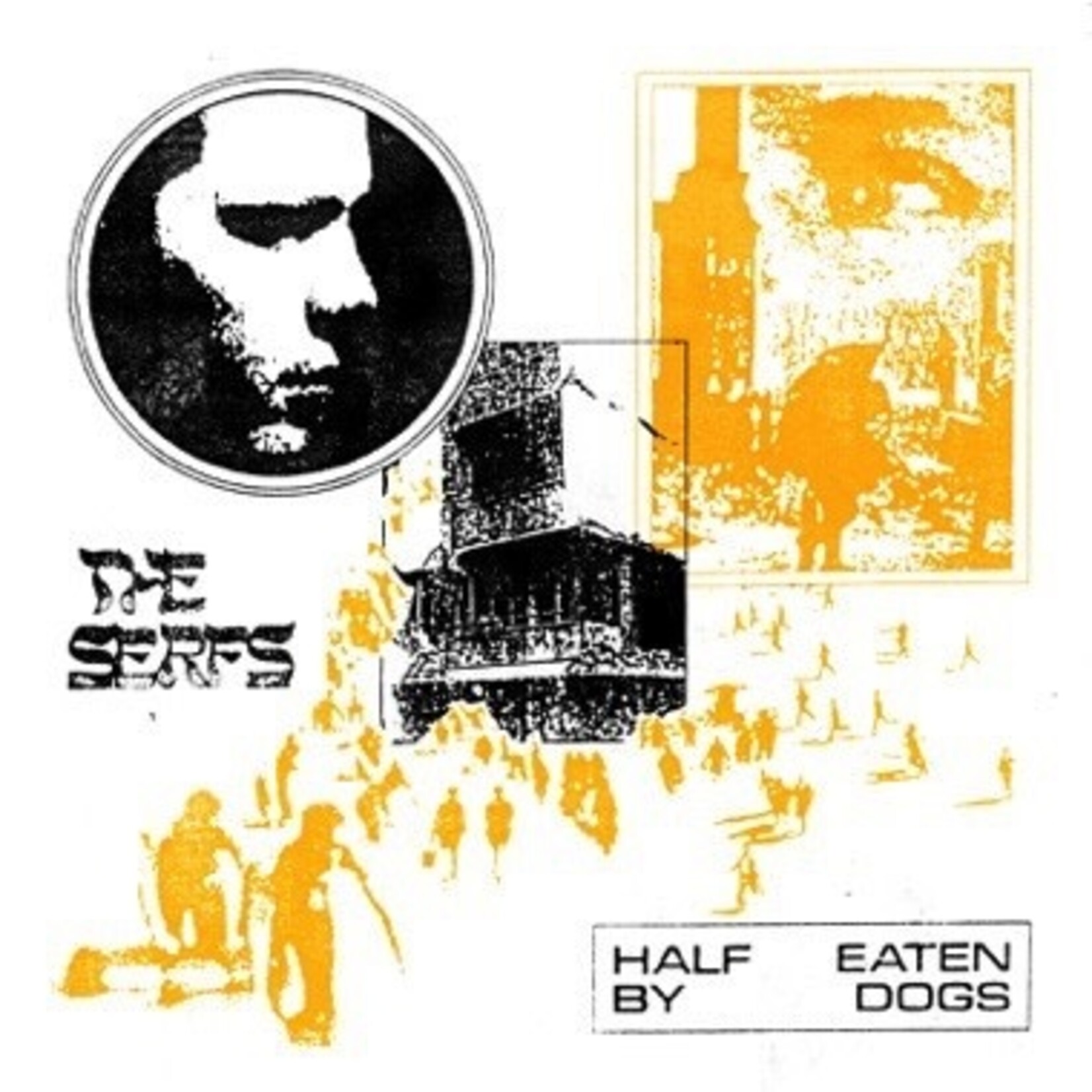 Trouble In Mind Serfs - Half Eaten By Dogs (LP)