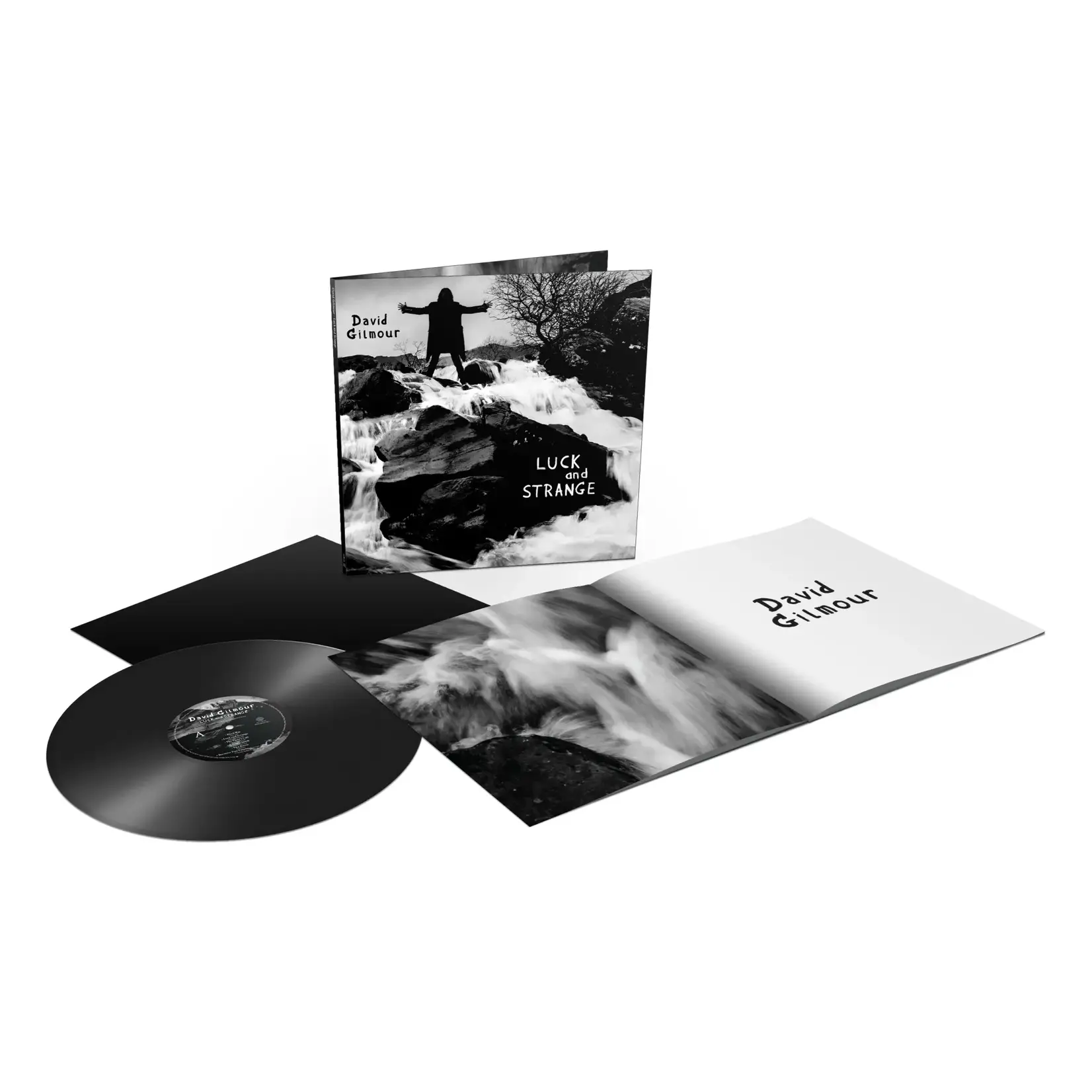 Sony David Gilmour - Luck And Strange (LP)