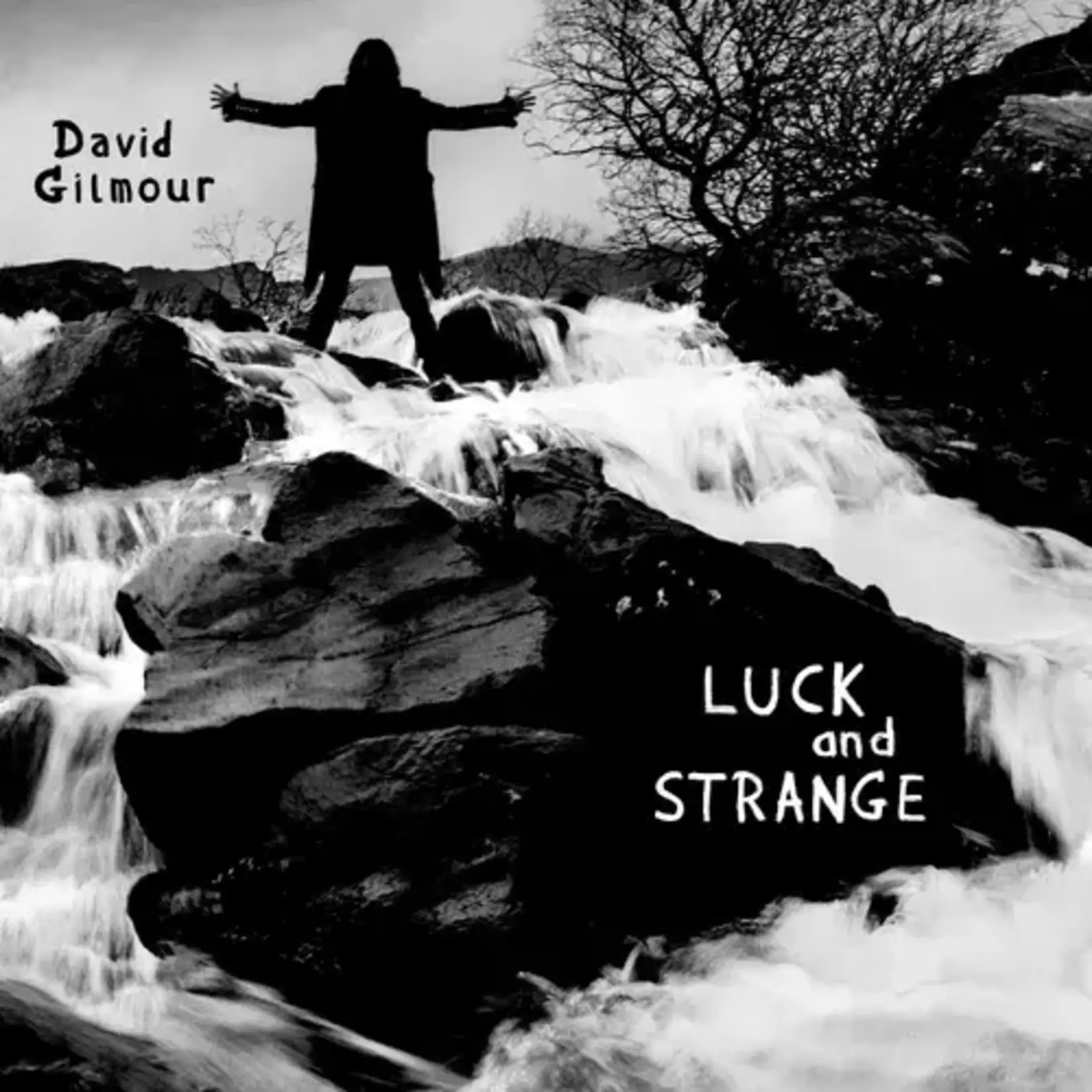 Sony David Gilmour - Luck And Strange (LP)