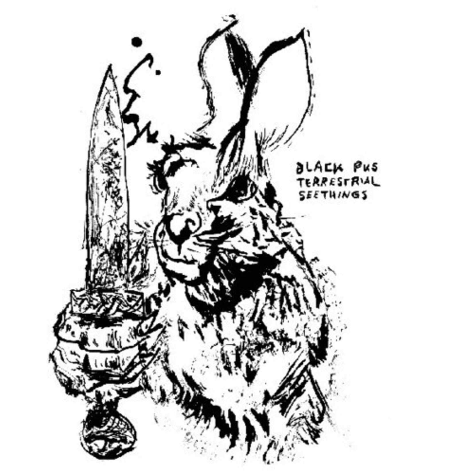 Thrill Jockey Black Pus - Terrestrial Seethings (LP) [Color]