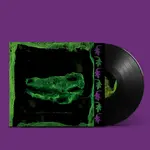 Domino Avey Tare - Down There (LP)