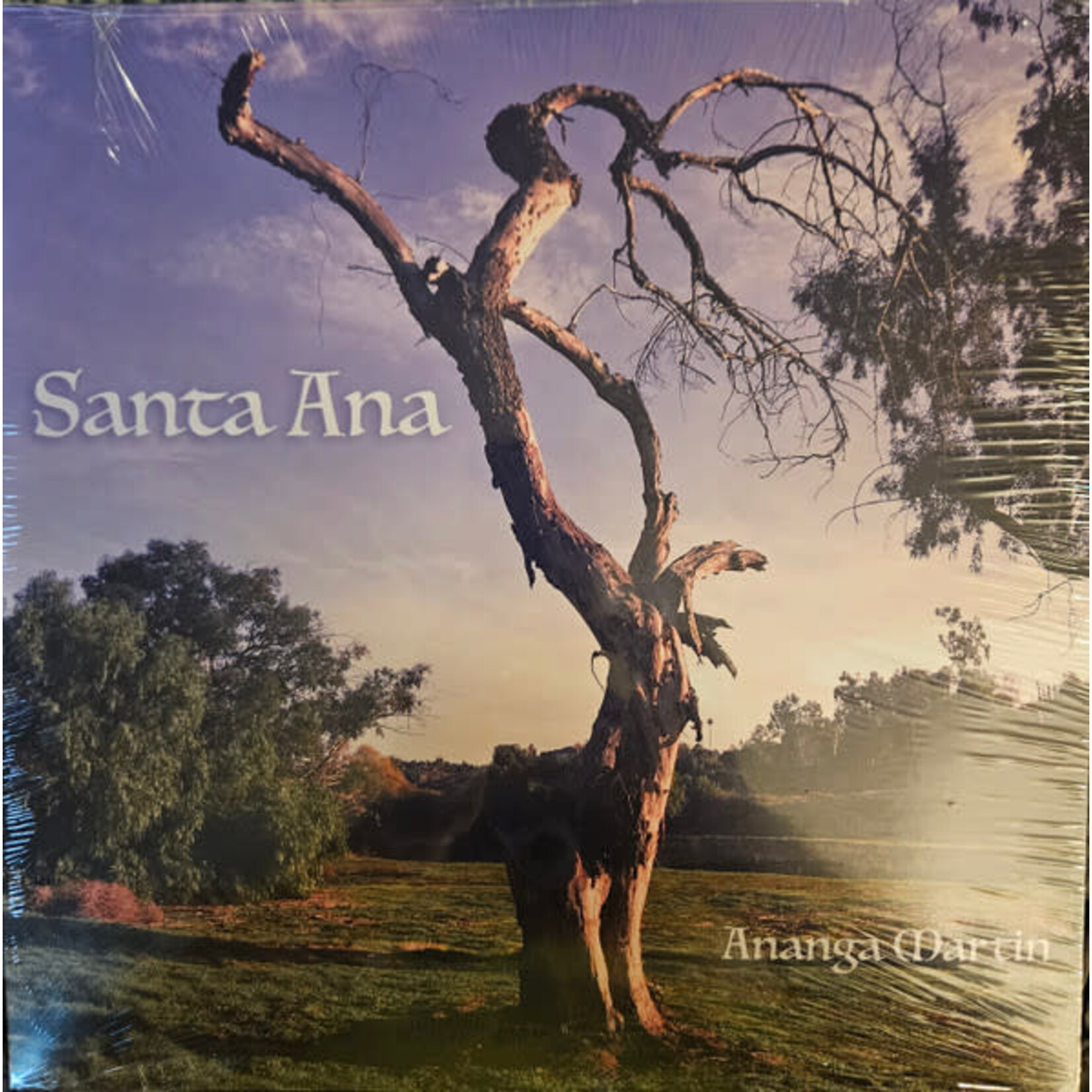 Ananga Martin - Santa Ana (LP) [Random]