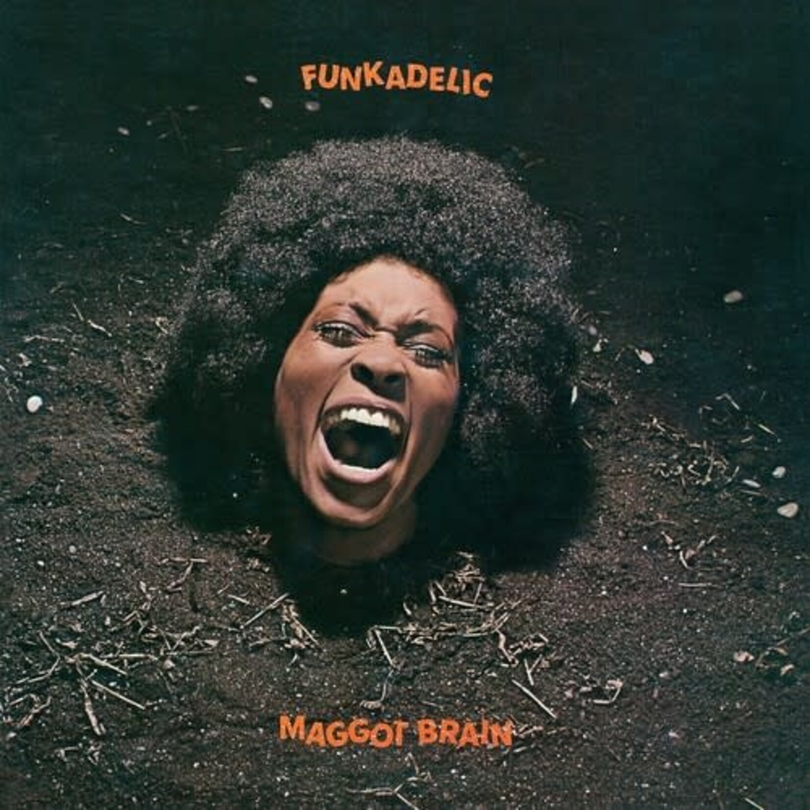 Funkadelic - Maggot Brain (2LP) [50th]