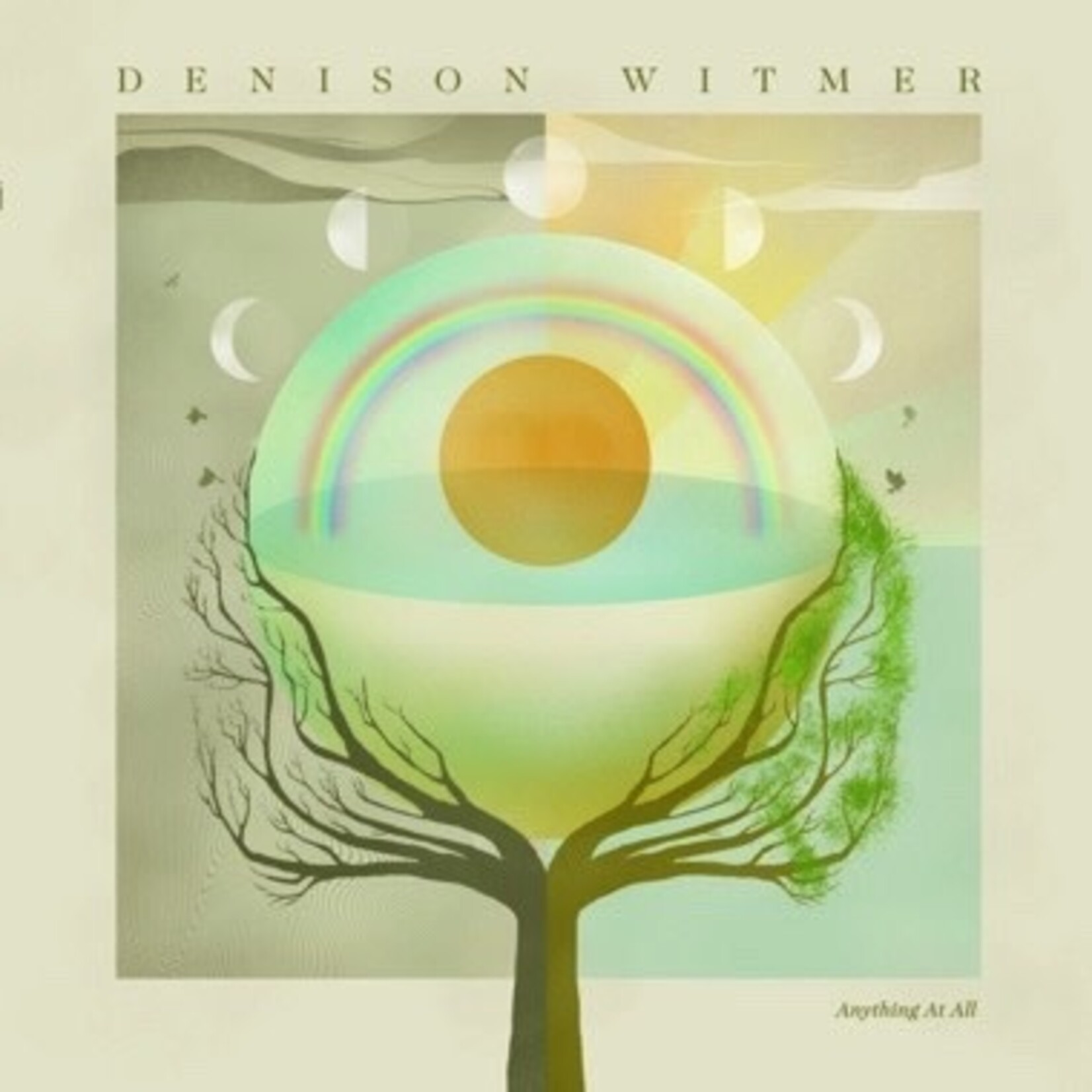 Asthmatic Kitty Denison Witmer - Anything At All (LP) [Coke Bottle]