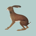 Vashti Bunyan - Lookaftering (2LP)
