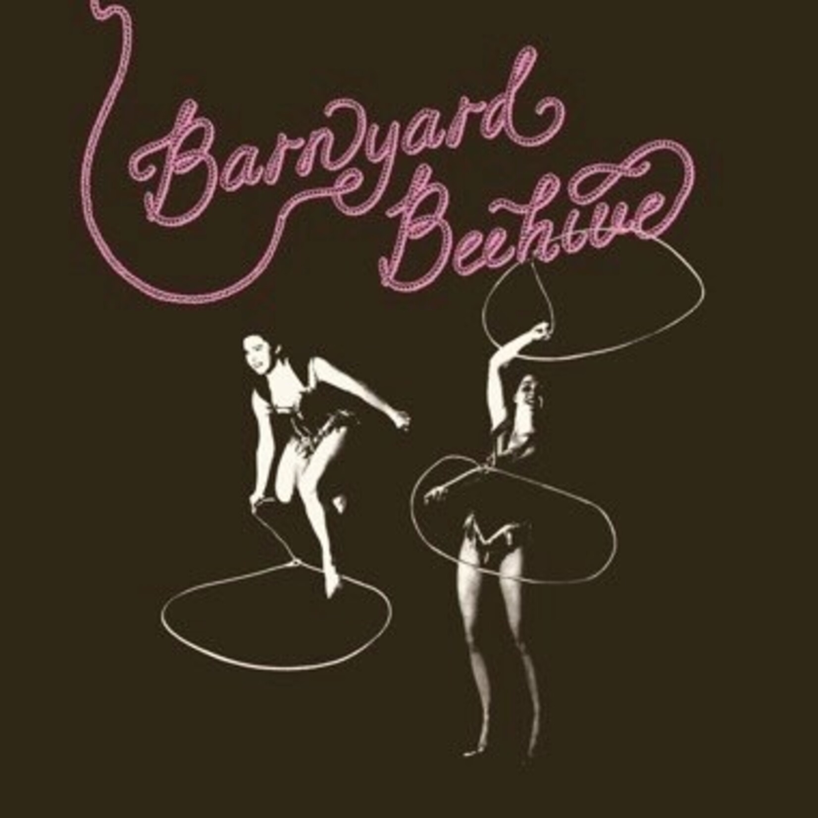 Numero Group V/A - Barnyard Beehive (LP) [Pink Clear]