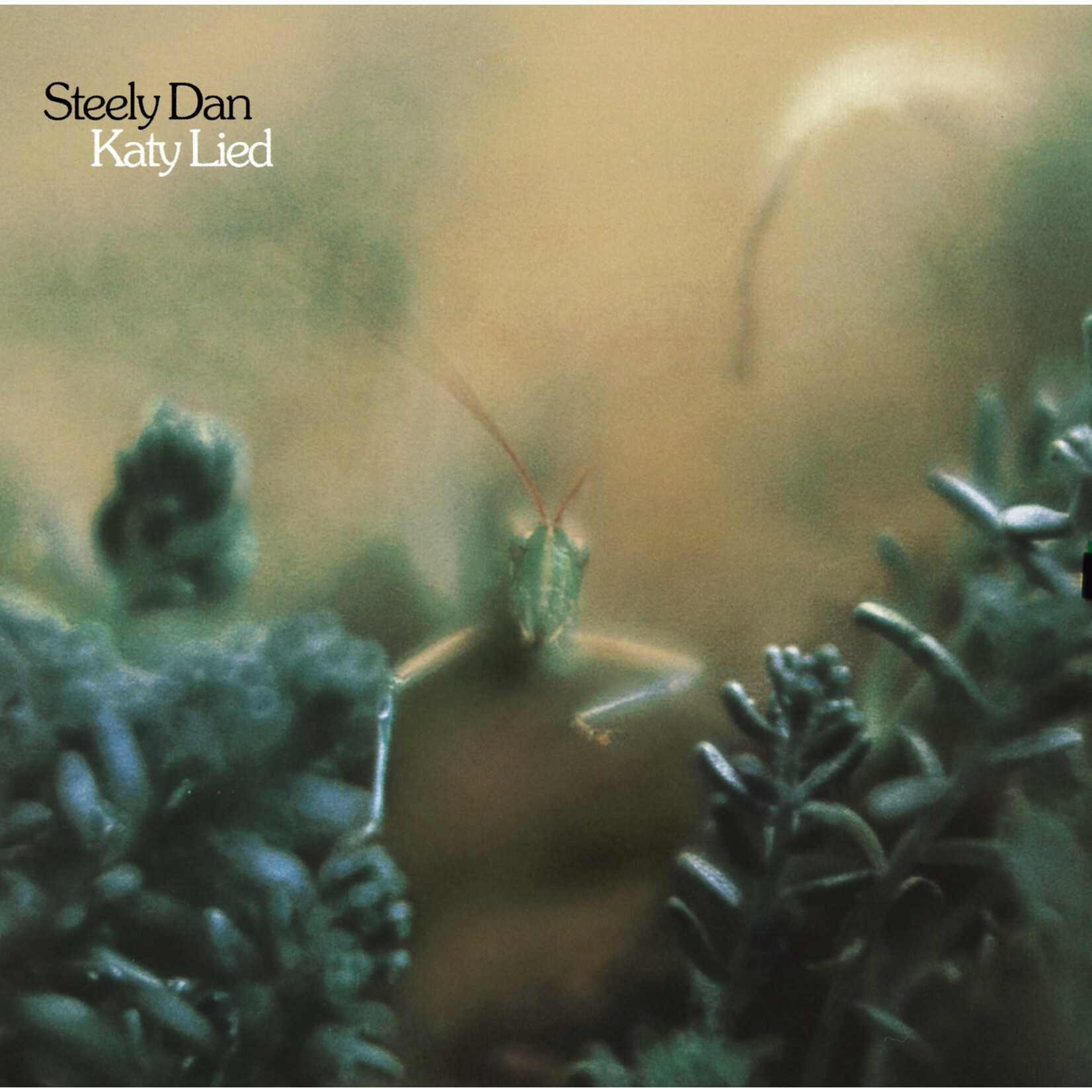 Geffen Steely Dan - Katy Lied (LP)