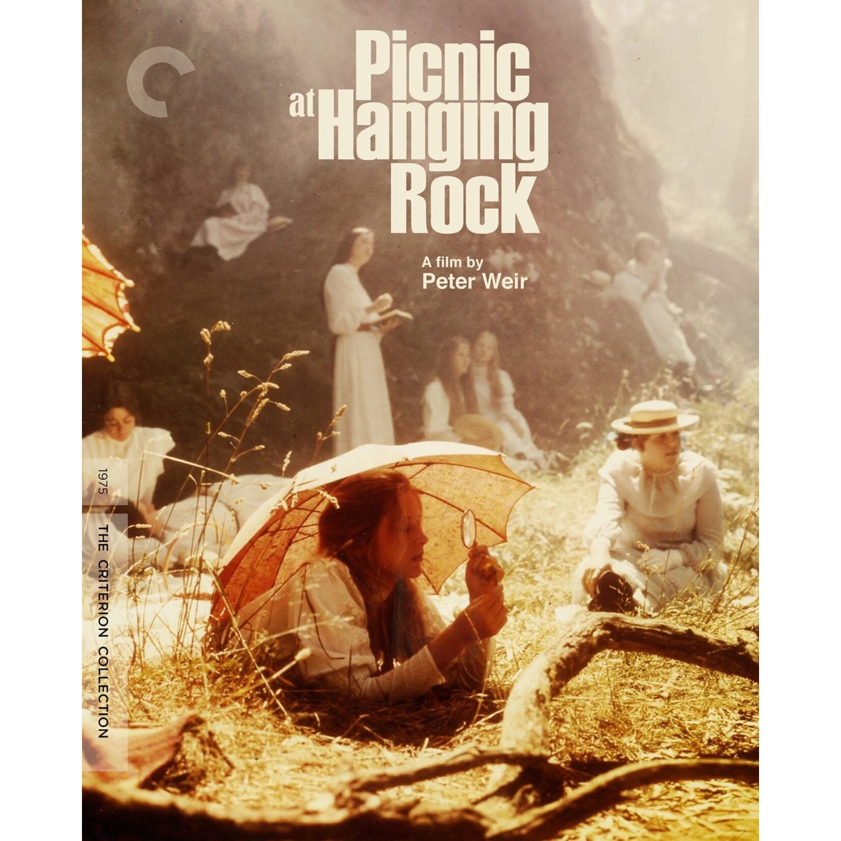 Criterion Collection Picnic At Hanging Rock (BD)