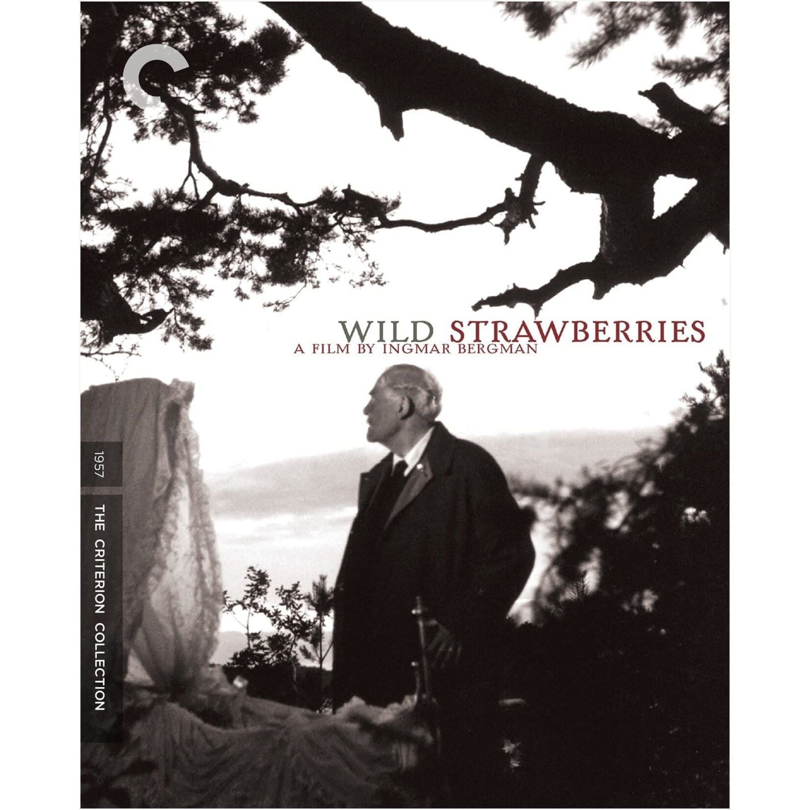 Criterion Collection Wild Strawberries (BD)