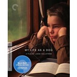 Criterion Collection My Life As A Dog (BD)
