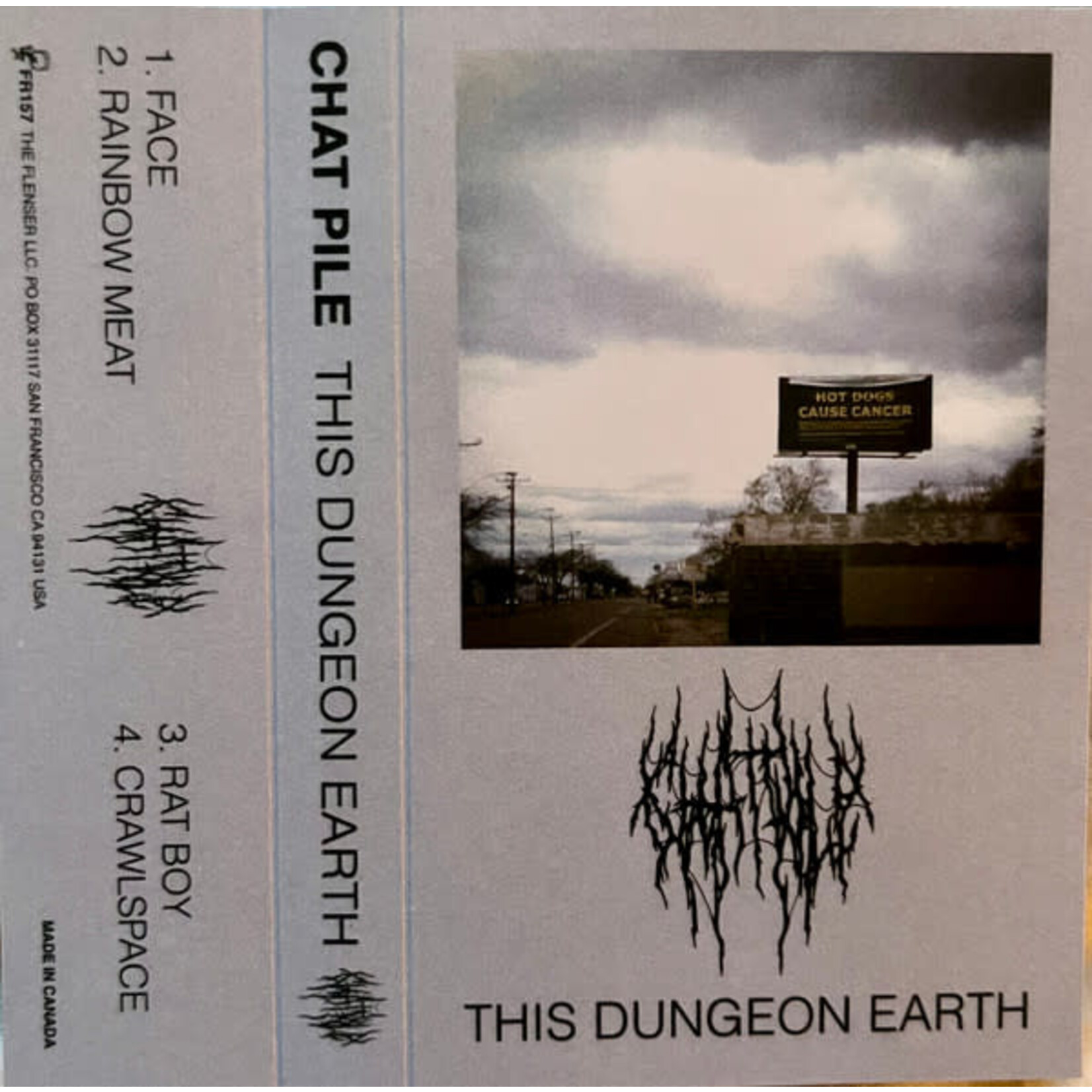 Flenser Chat Pile - This Dungeon Earth (Tape)