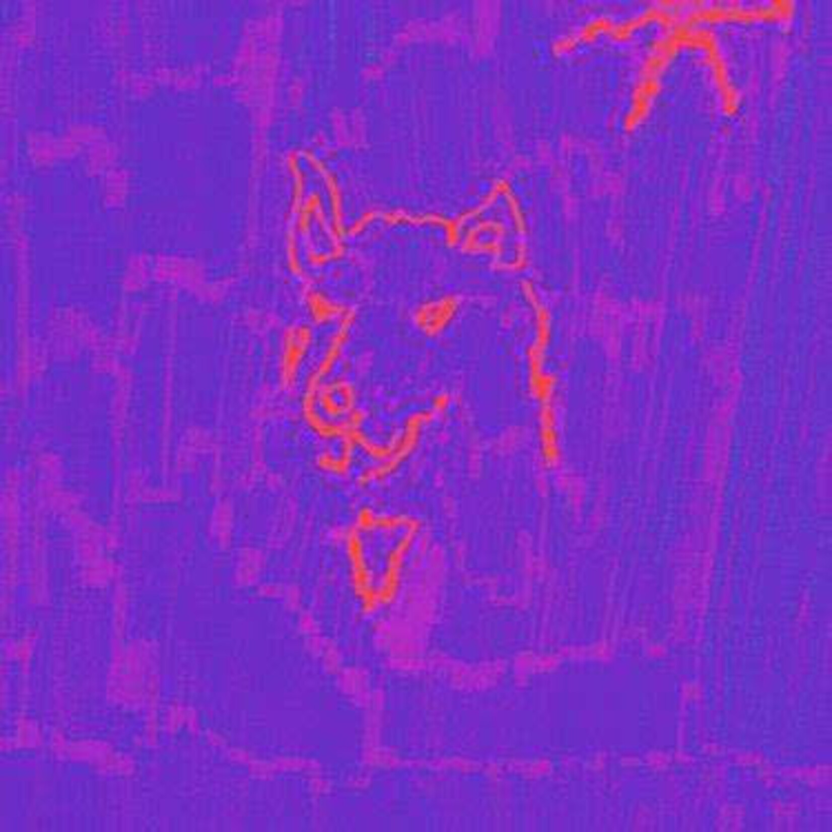 Fat Possum Dehd - Poetry (LP)