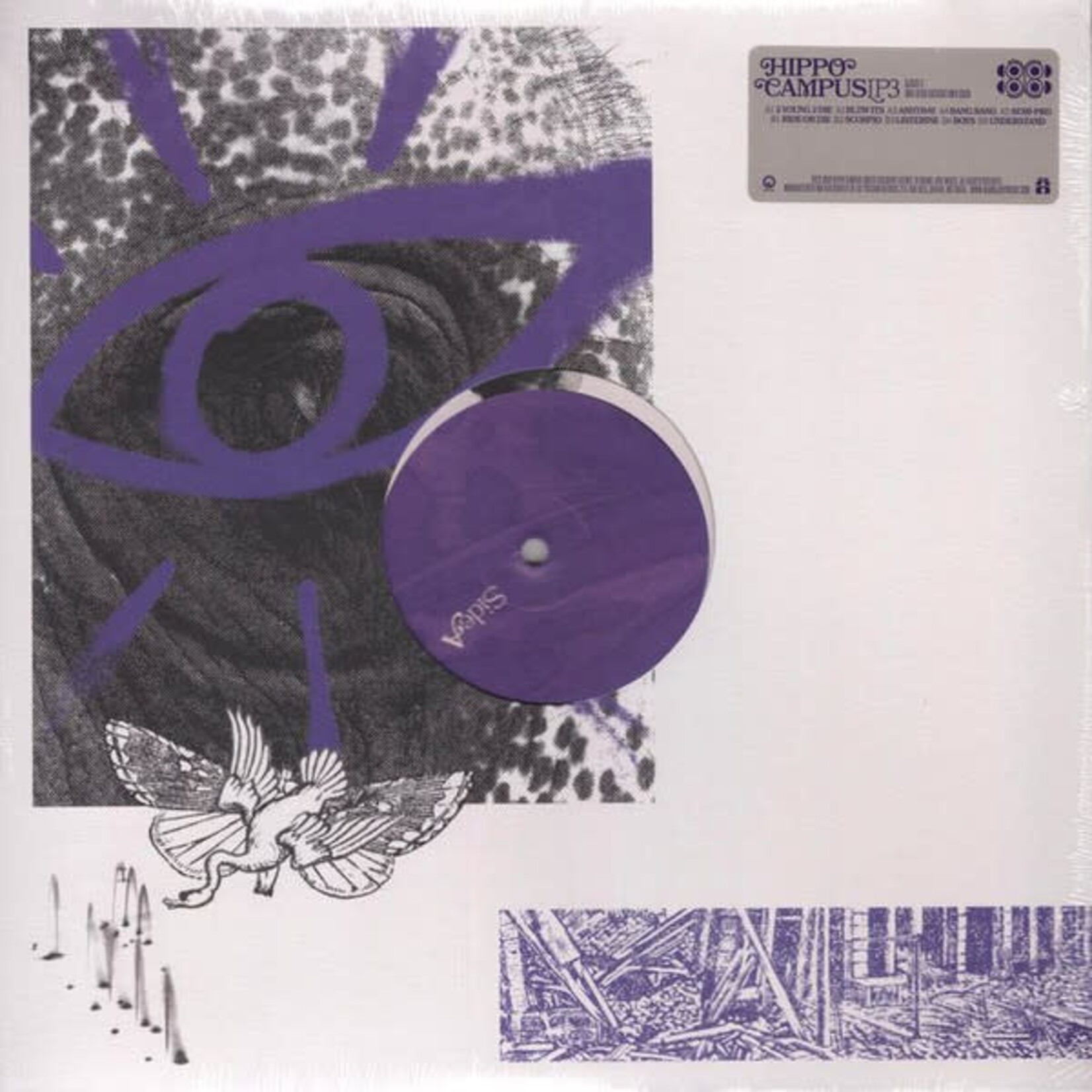 Grand Jury Hippo Campus - LP3 (LP) [Purple Swirl]