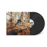 BILLY WOODS『GOLLIWOG』2LP 帯付 日本特別盤 完売 日本限定盤】billy woods - GOLLIWOG 2LP OBI