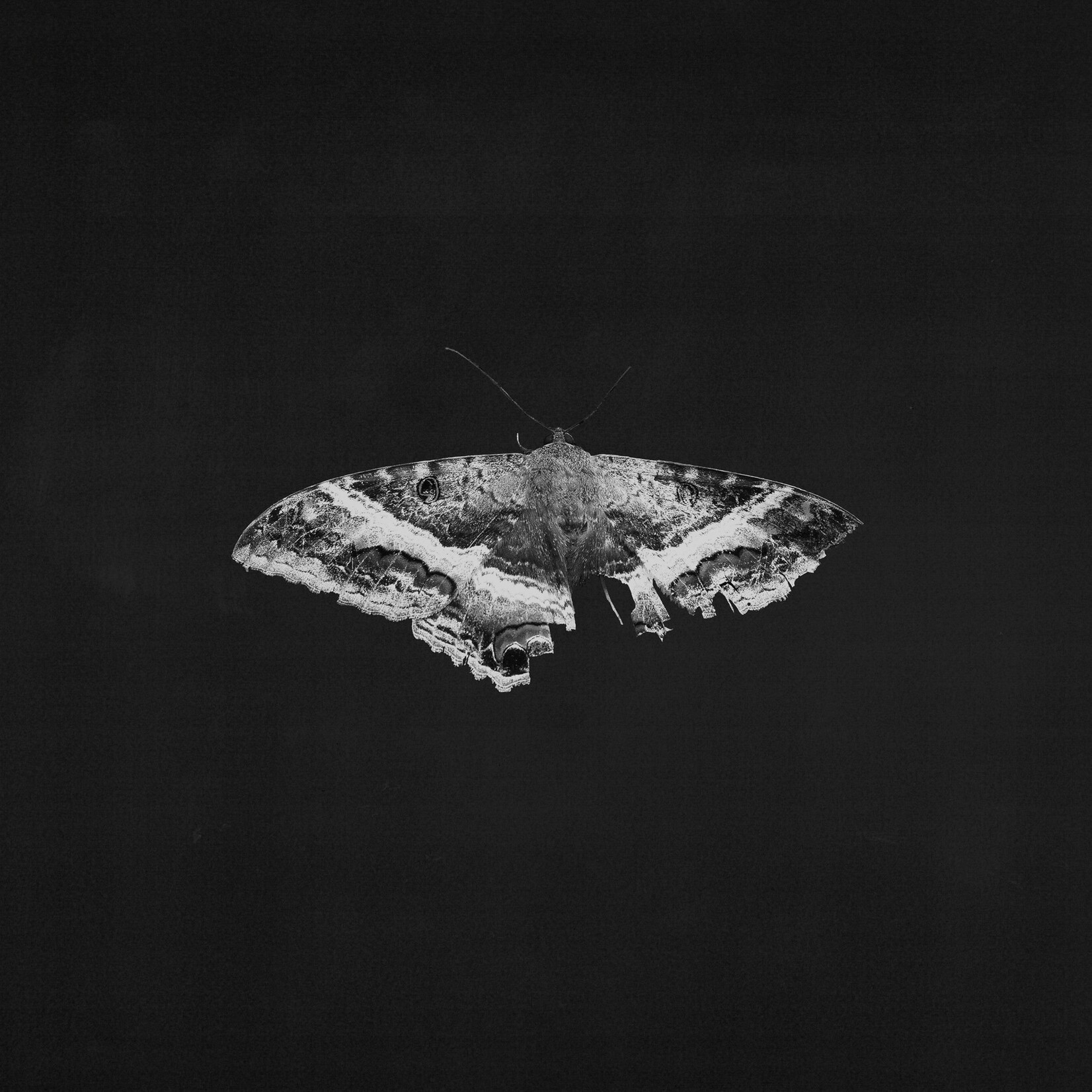 Kendrick Lamar - To Pimp A Butterfly (2LP) [Metallic Blends]