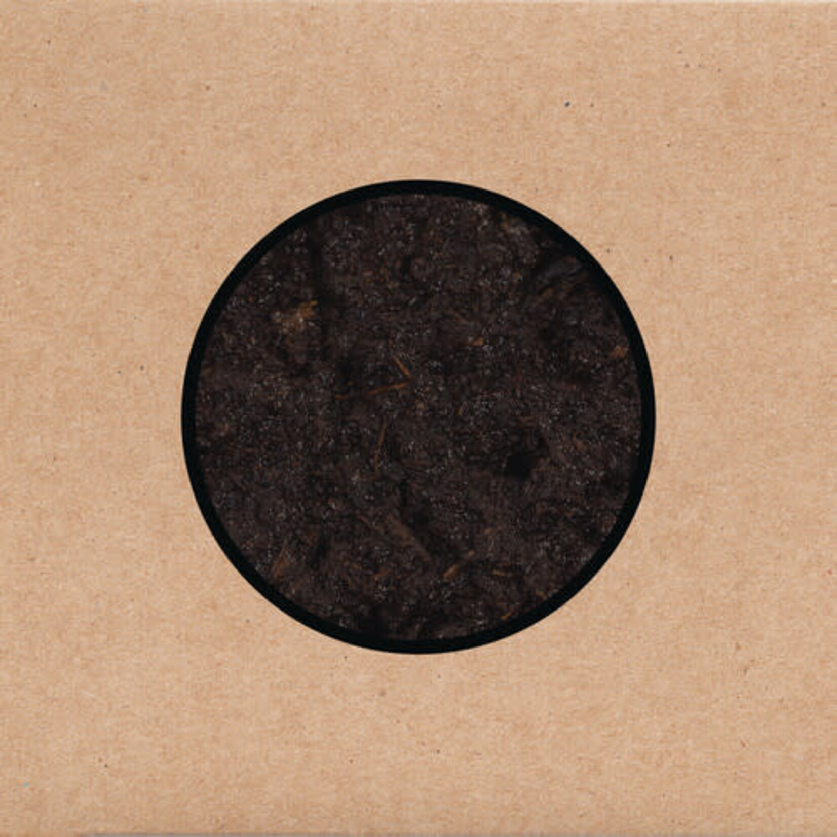 Young Swans - Birthing (2LP)