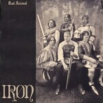 Polyvinyl PRE-ORDER 07/25/25 | Post Animal - IRON (LP) [Ivory]