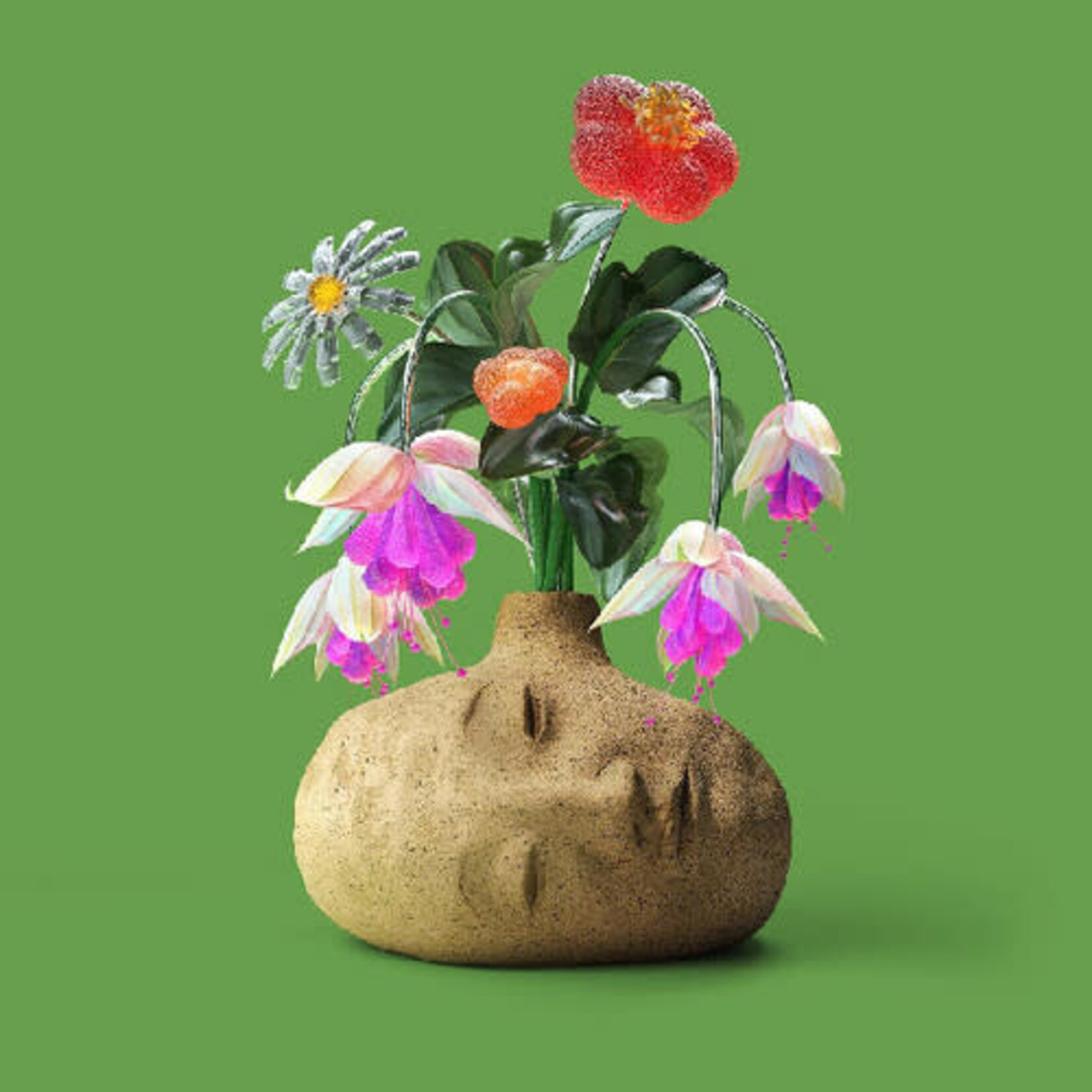 Topshelf Elephant Gym - Dreams (LP) [Flower Petal Fuschia]