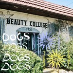 Cash Langdon - Dogs (LP) [Yellow]