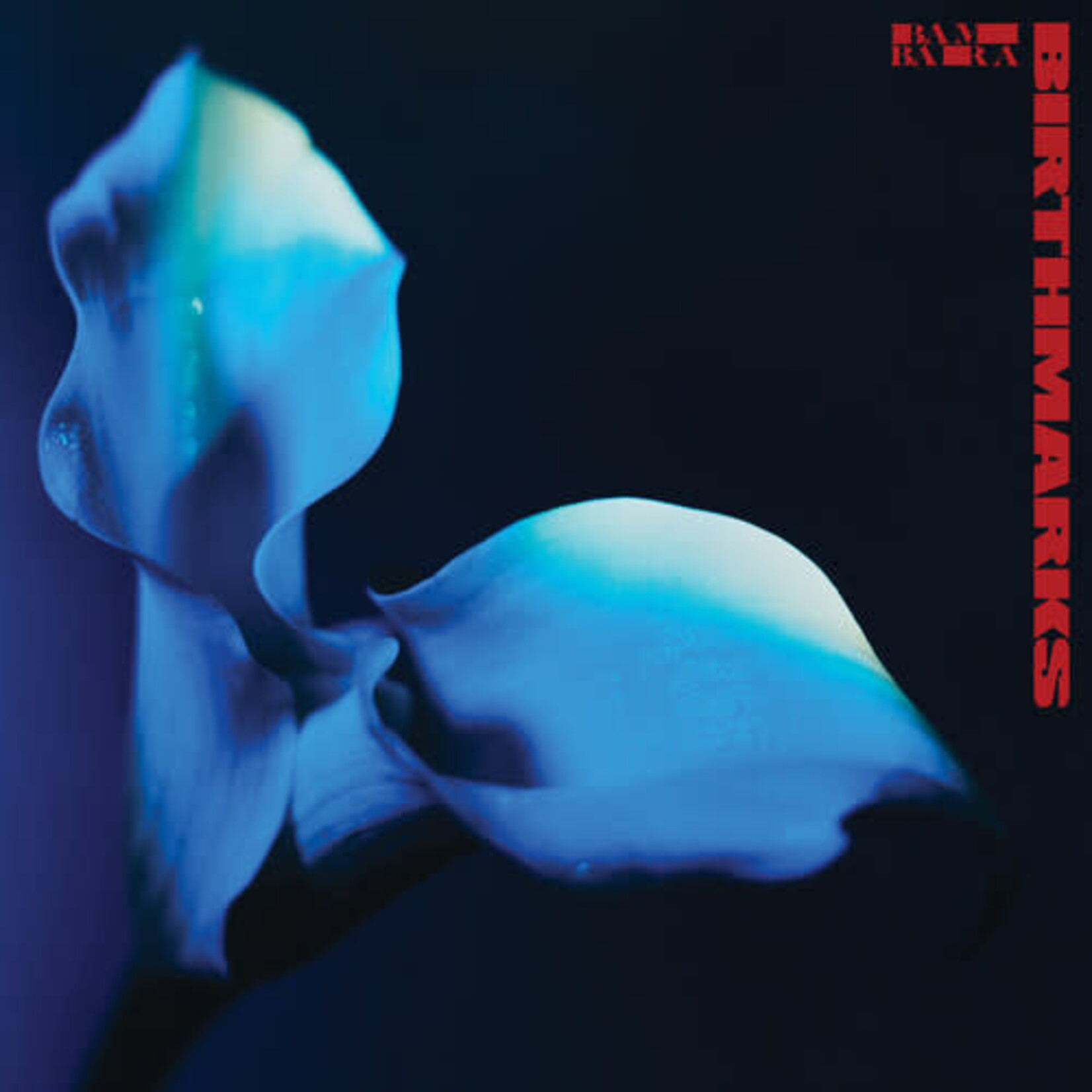 Bambara - Birthmarks (LP) [Blue]