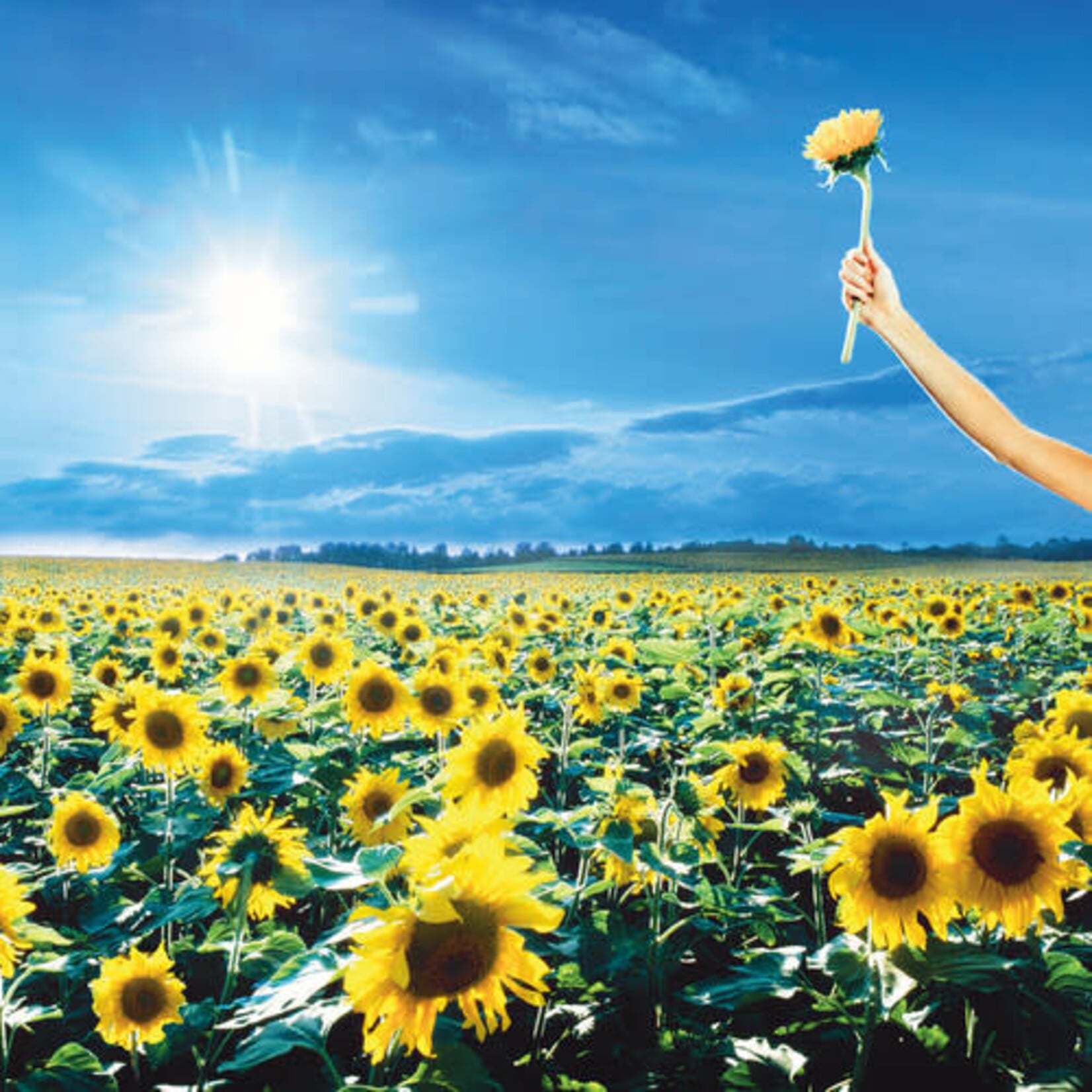 Rhino - Rocktober Stone Temple Pilots - Thank You (2LP)