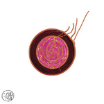 Strut Sun Ra - Sleeping Beauty (LP)