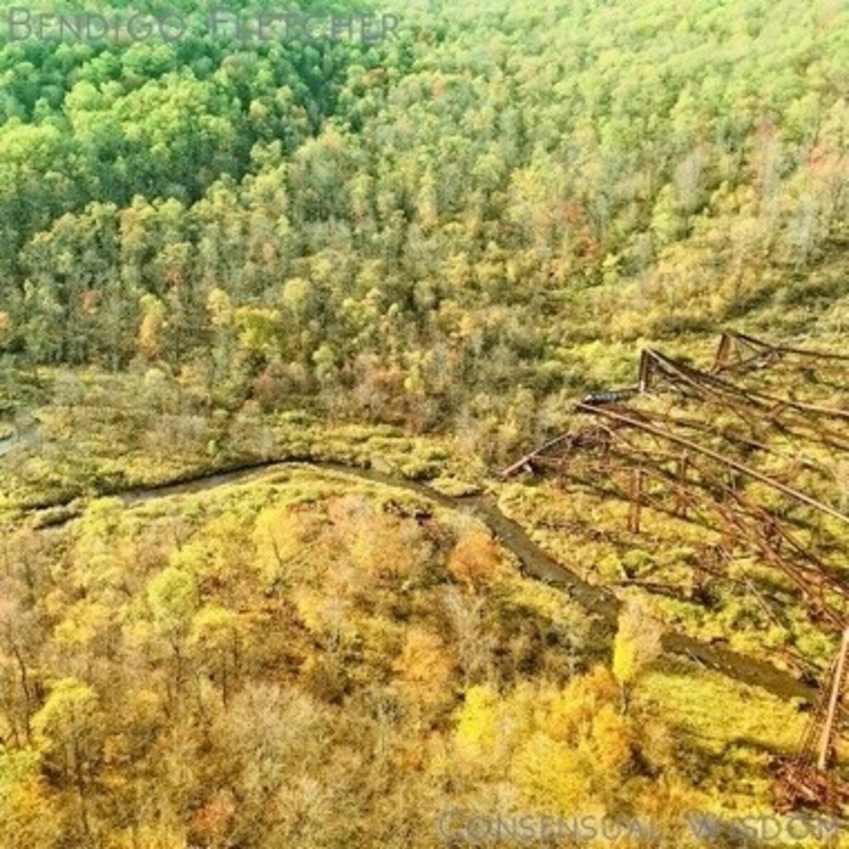 Bendigo Fletcher - Consensual Wisdom (LP) [Beige]