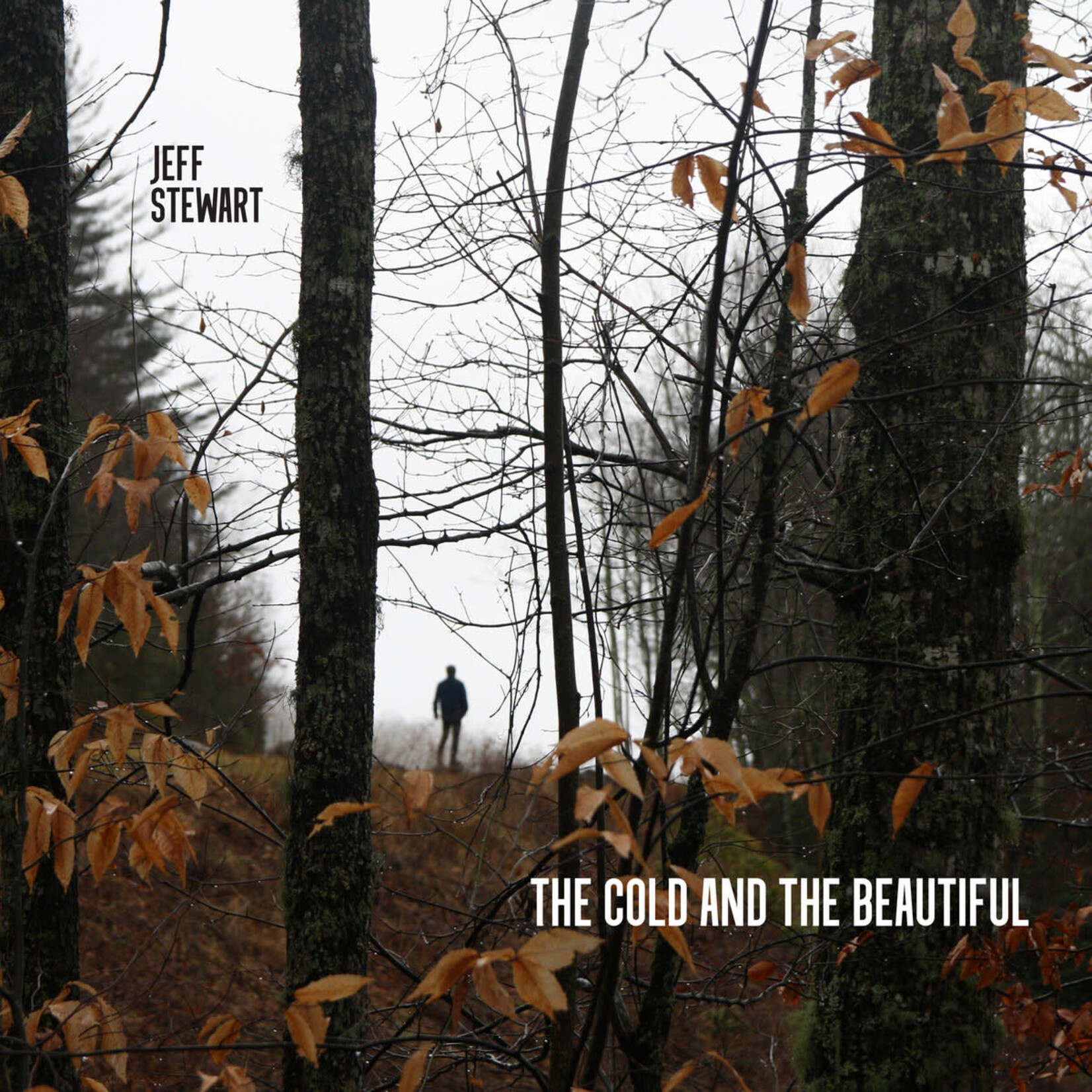 Toledo Jeff Stewart - The Cold & the Beautiful (CD) [2017]