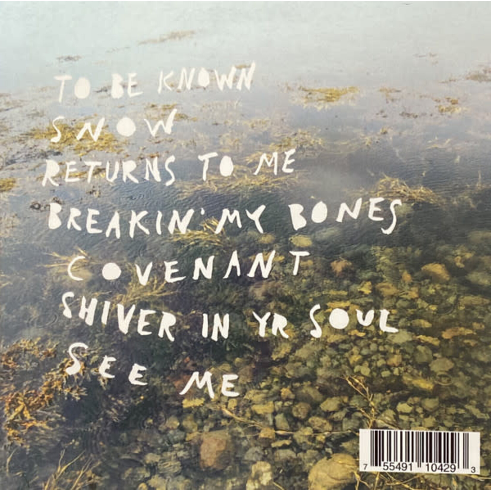 Toledo Soften - Seen + Unseen (CD) [2017]