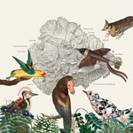 We Are Busy Bodies Friendly Rich - The Birds of Marsville (LP)