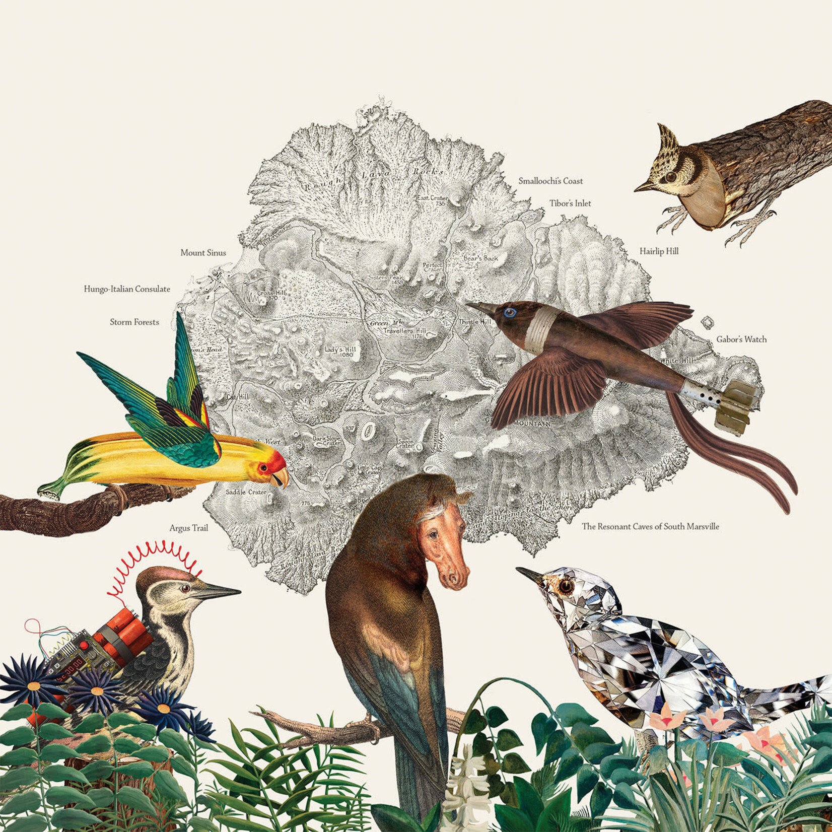 We Are Busy Bodies Friendly Rich - The Birds of Marsville (LP)