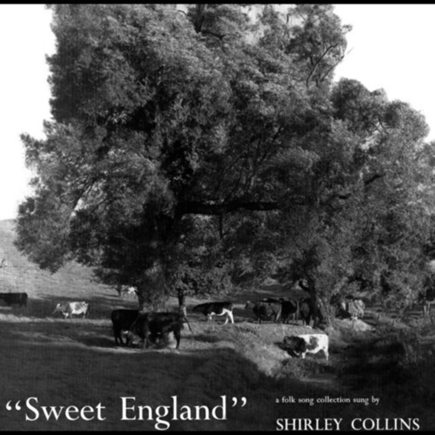 Shirley Collins - Sweet England (LP)