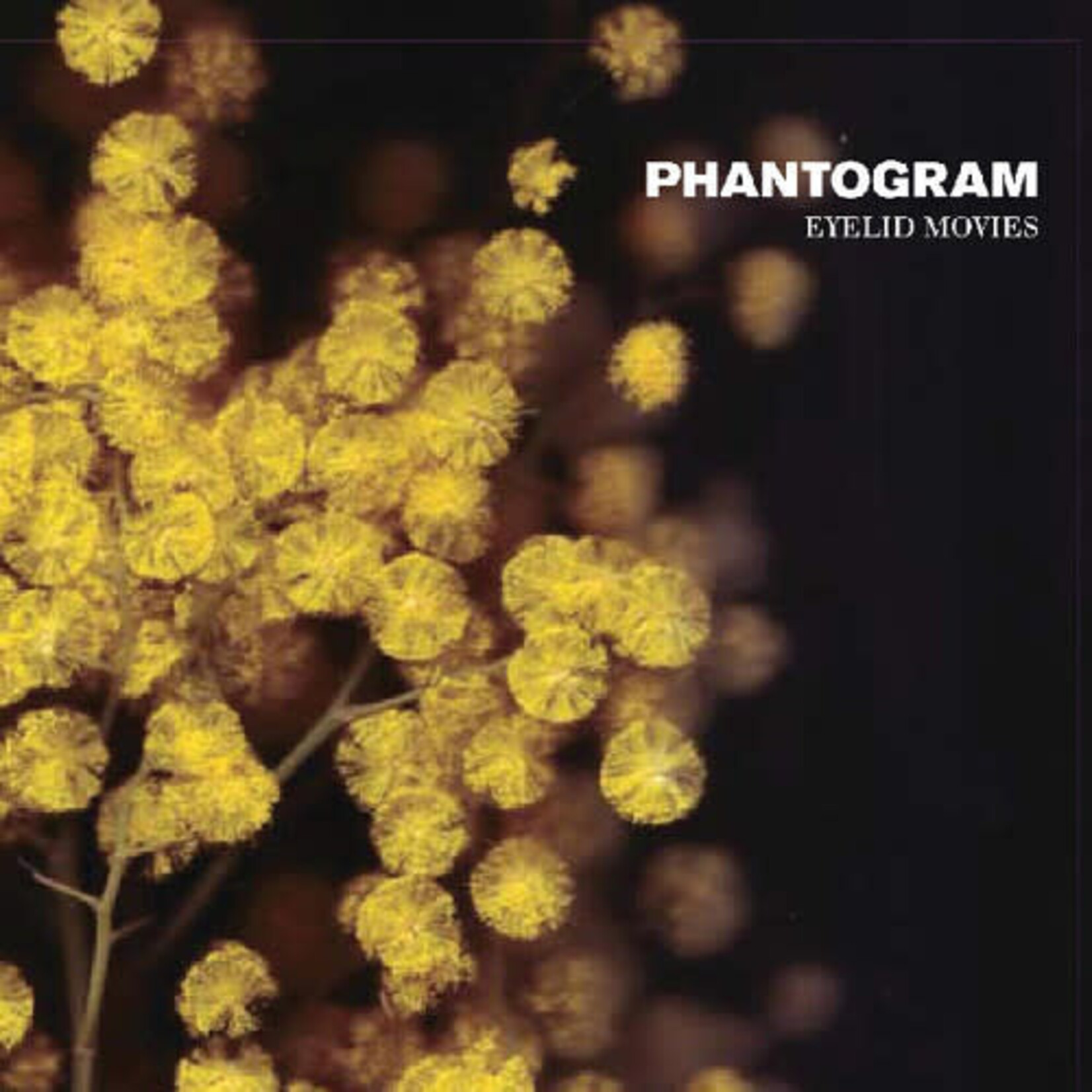 Barsuk Phantogram - Eyelid Movies (LP) [Clear/Yellow Swirl]