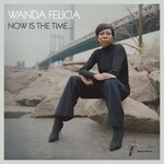 Wanda Felicia & Cold Diamond & Mink - Now Is The Time (LP) [Pink]