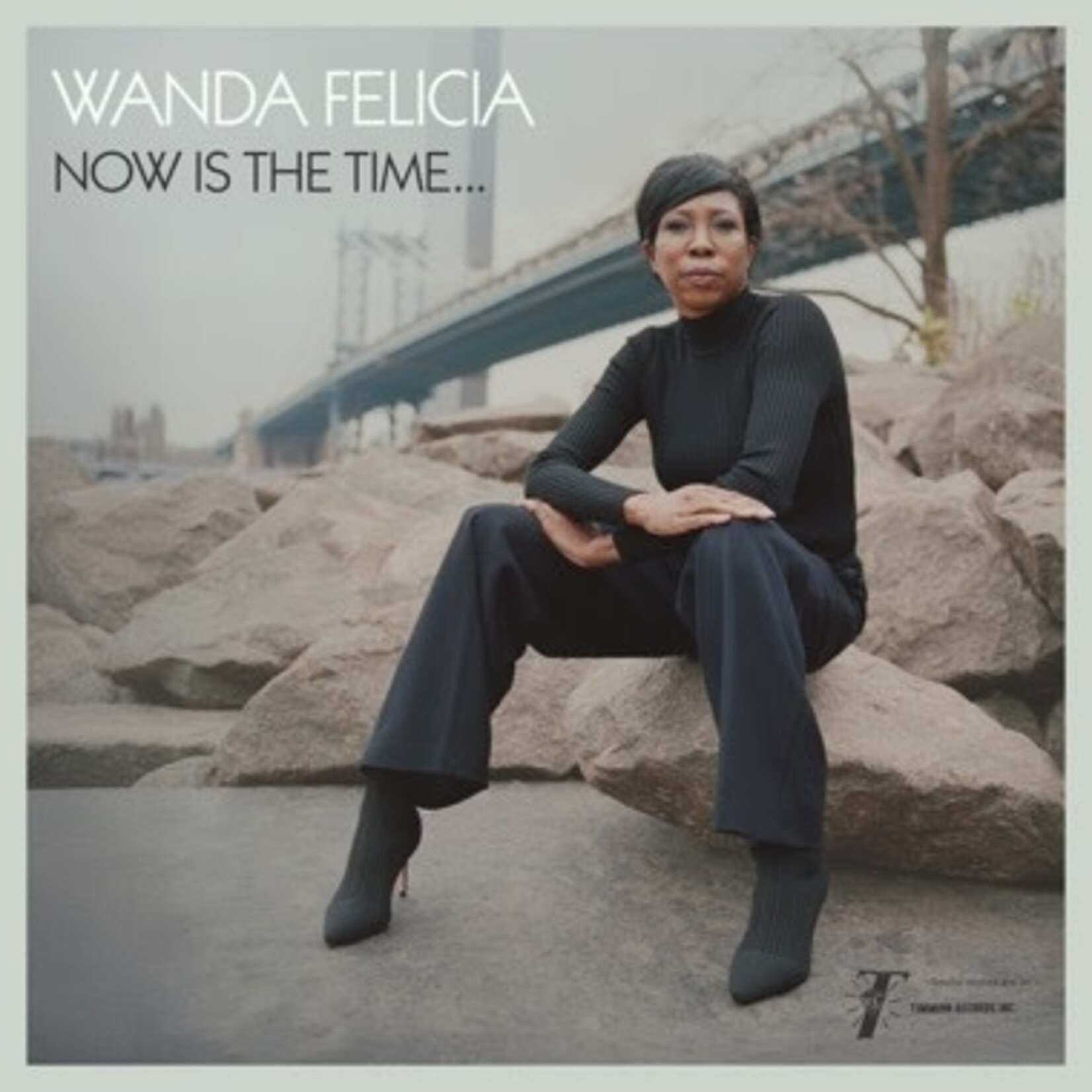 Wanda Felicia & Cold Diamond & Mink - Now Is The Time (LP) [Pink]