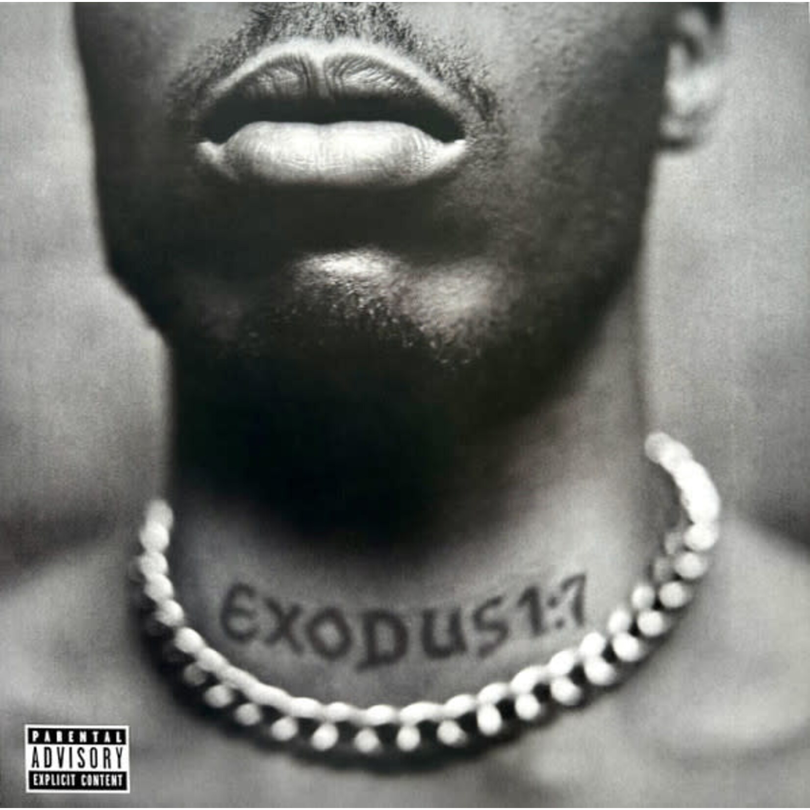 Def Jam DMX - Exodus (LP)