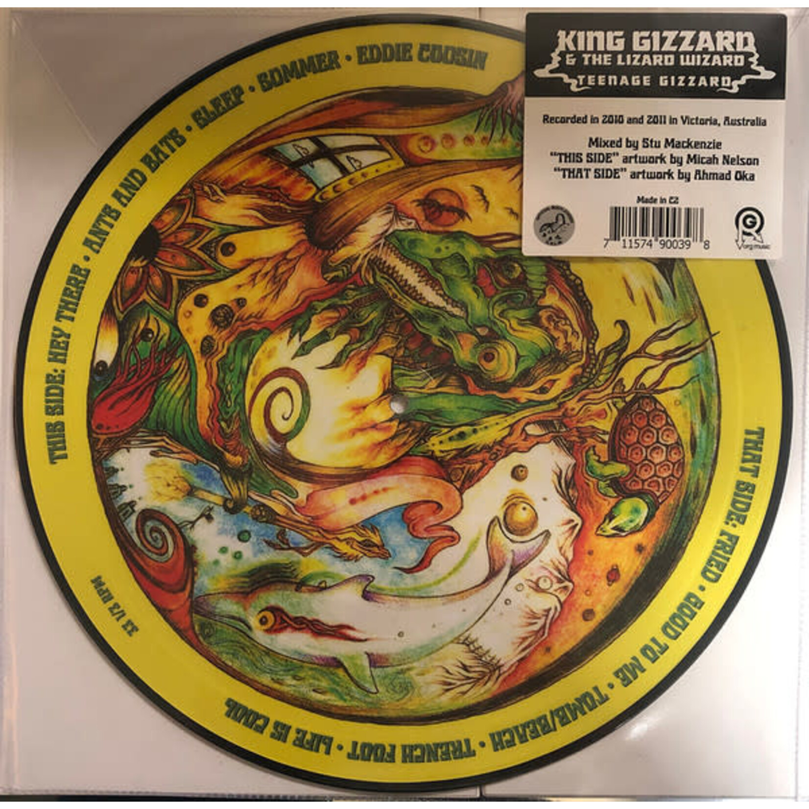 ORG King Gizzard & The Lizard Wizard - Teenage Gizzard (LP) [Pic]