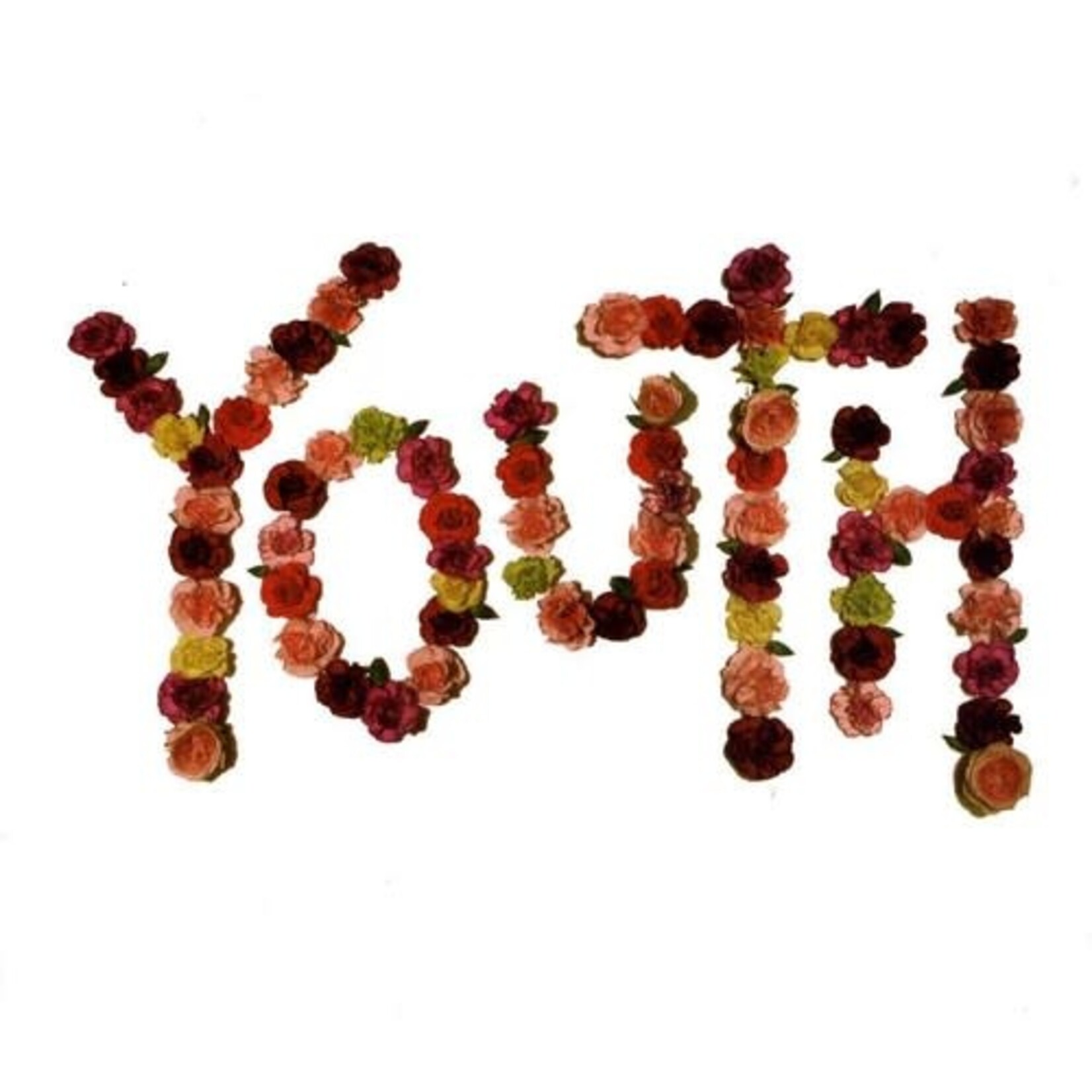 Run For Cover Citizen - Youth (CD)