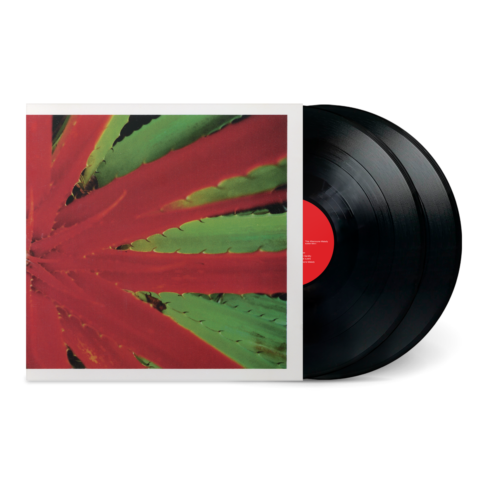 Numero Group PRE-ORDER 01/23/26 | Jejune - This Afternoons Malady (2LP)