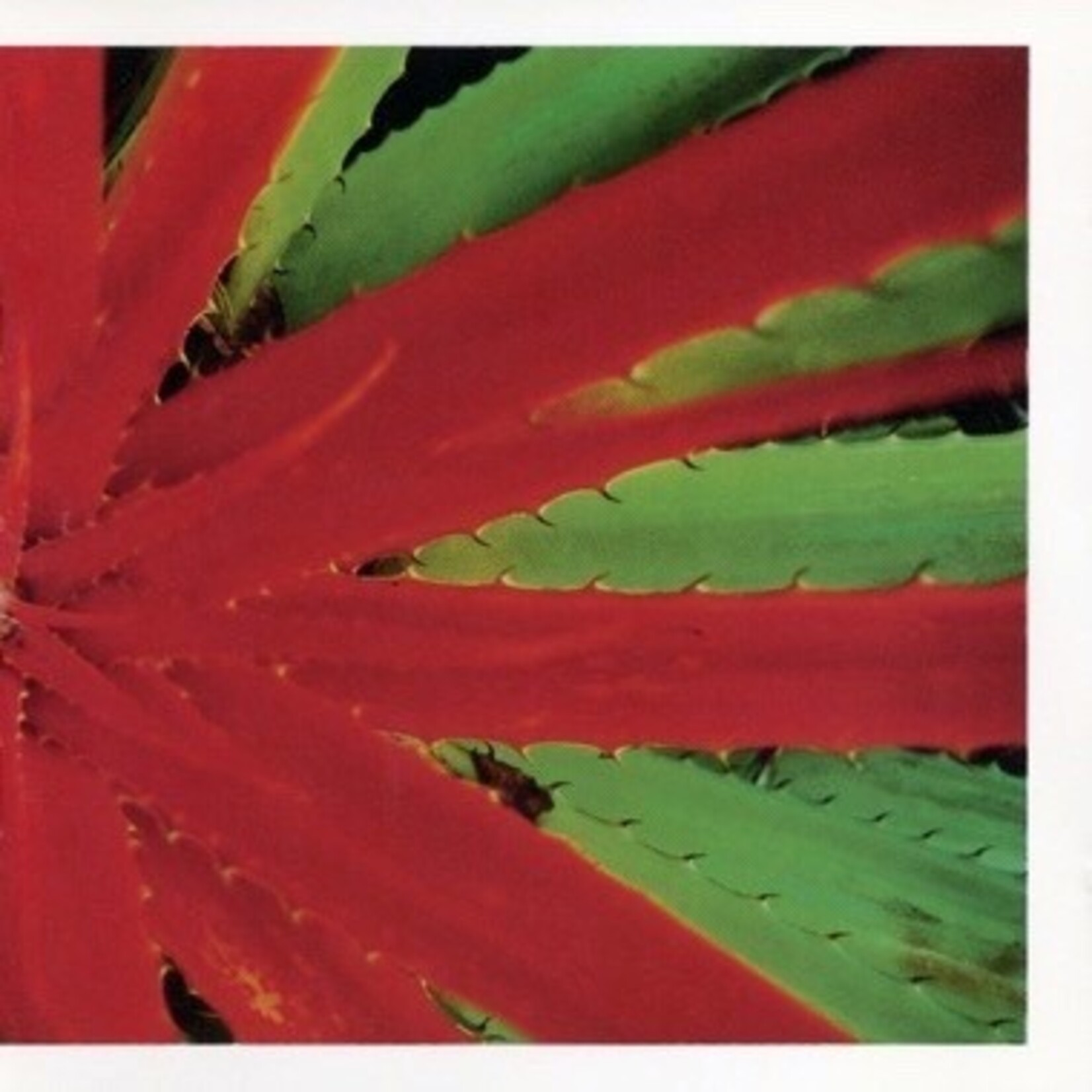 Numero Group Jejune - This Afternoons Malady (2LP)