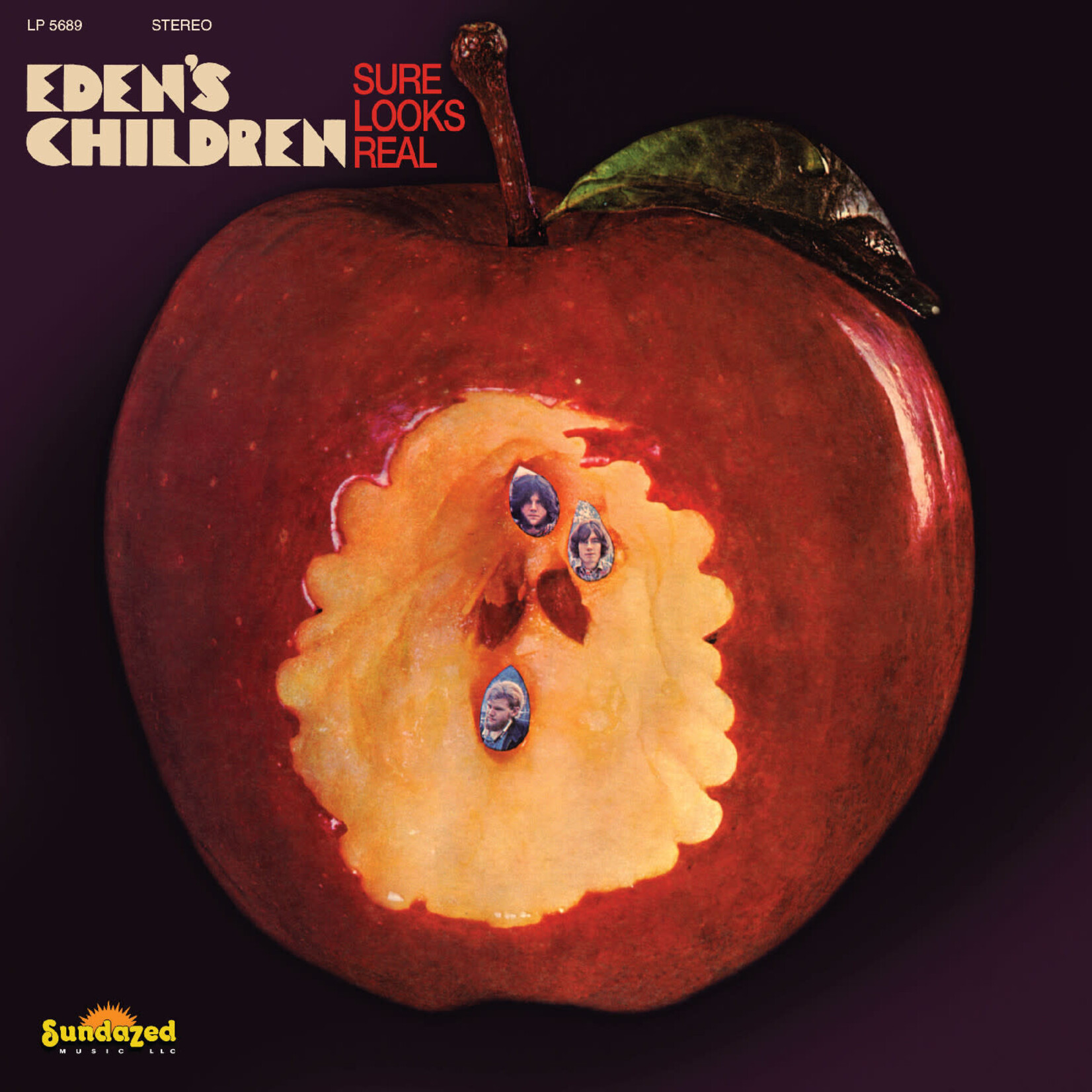 Sundazed Eden's Children - Sure Looks Real (LP) [Maroon]