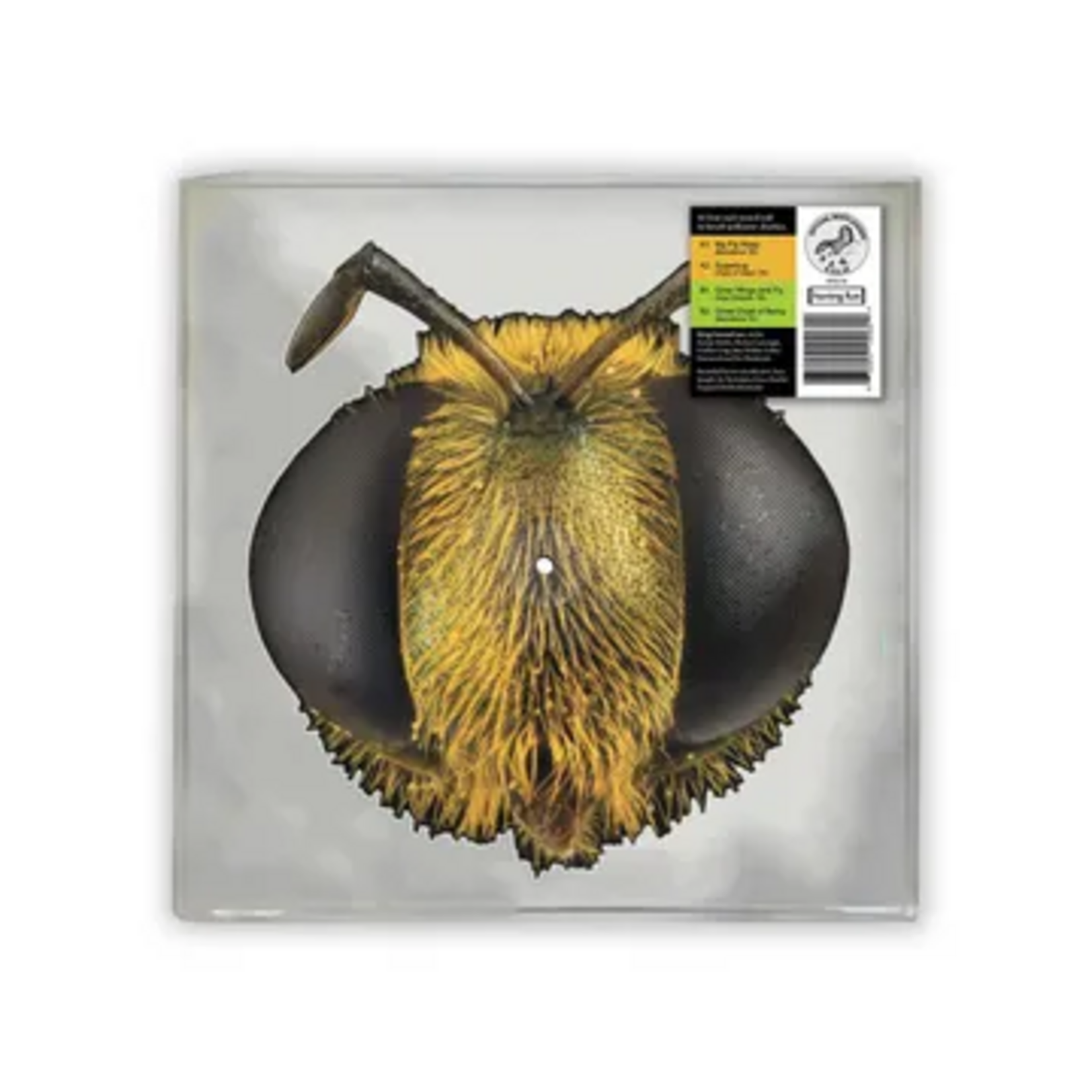 Record Store Day 2026 King Gizzard & The Lizard Wizard - Big Fig Wasp (LP) [Bug-Shaped]