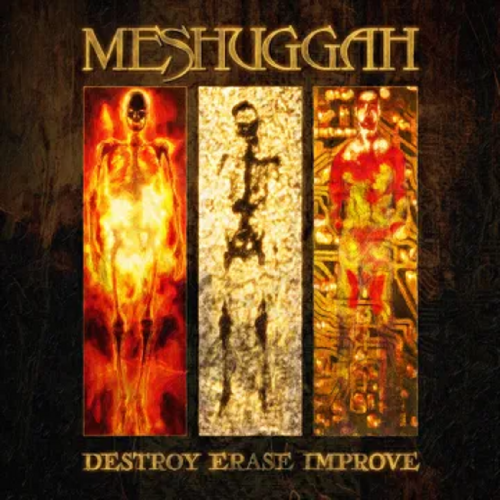 Record Store Day 2026 RSD2026 | Meshuggah - Destroy Erase Improve (2LP) [Etch]