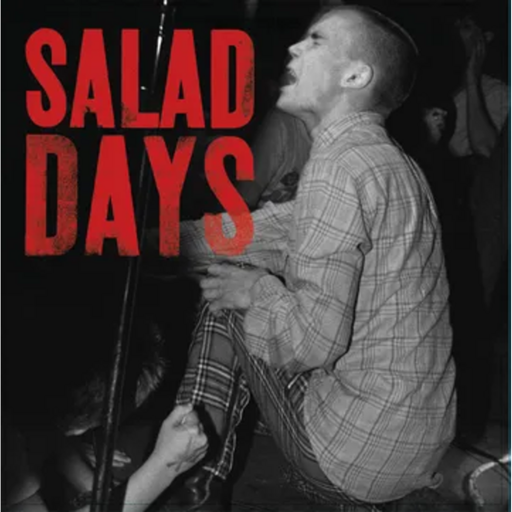 Record Store Day 2026 V/A - Salad Days: Music From The Documentary Film (LP) [Red]