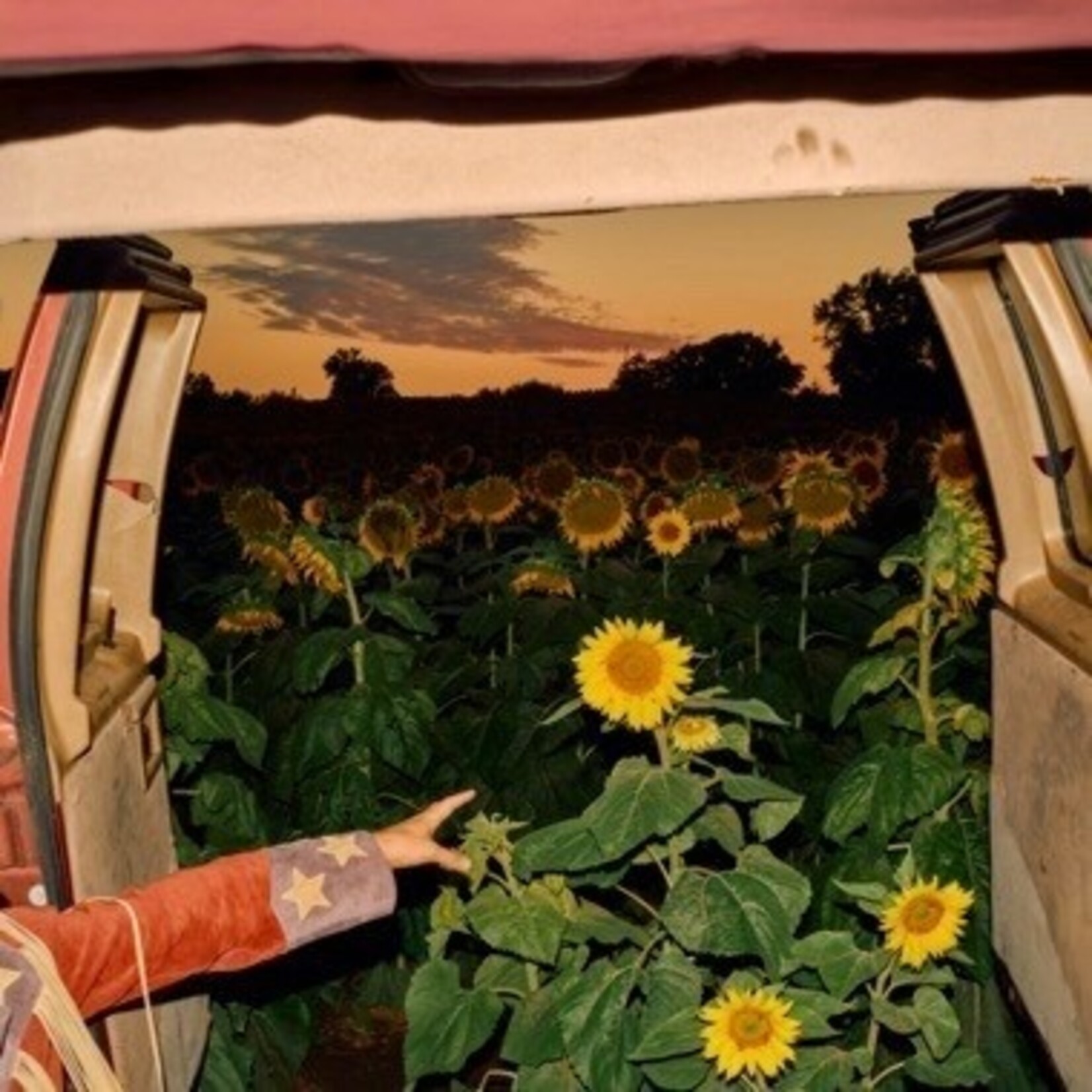 Dead Oceans PRE-ORDER 05/15/26 | Kevin Morby - Little Wide Open (2LP) [Eco-Mix]