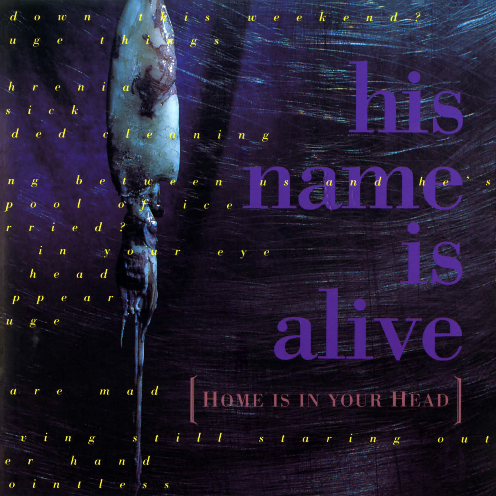 4AD His Name Is Alive - Home Is in Your Head (LP)