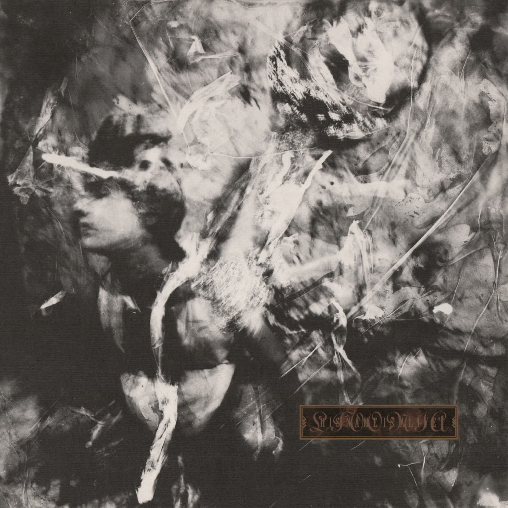 4AD PRE-ORDER 05/08/26 | His Name Is Alive - Livonia (LP)